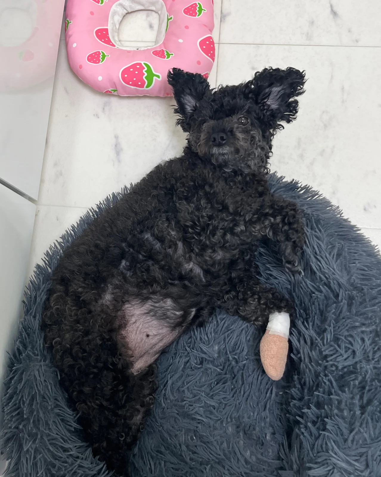 리뷰 사진 1