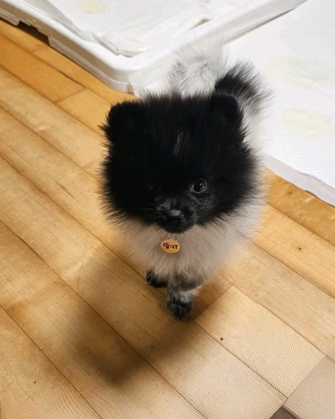 리뷰 사진 1