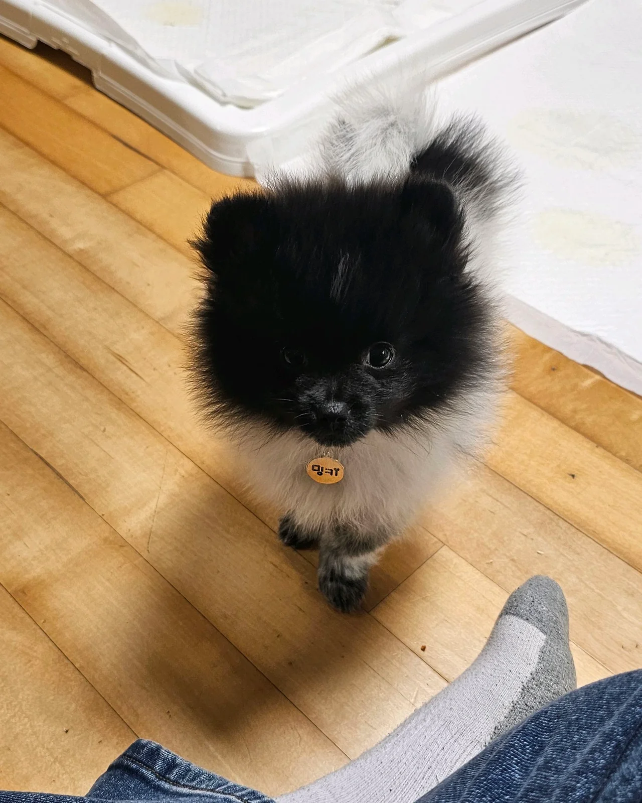 리뷰 사진 1