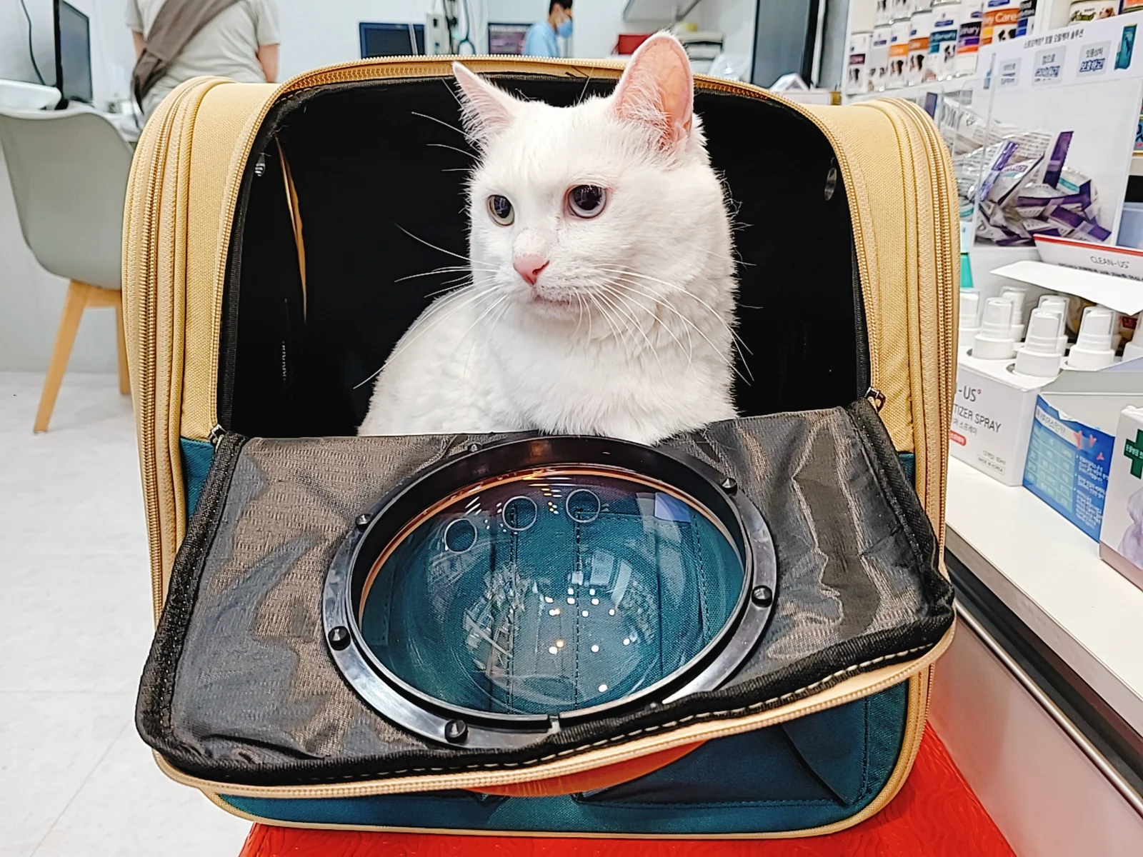 성지동물병원 사진 2