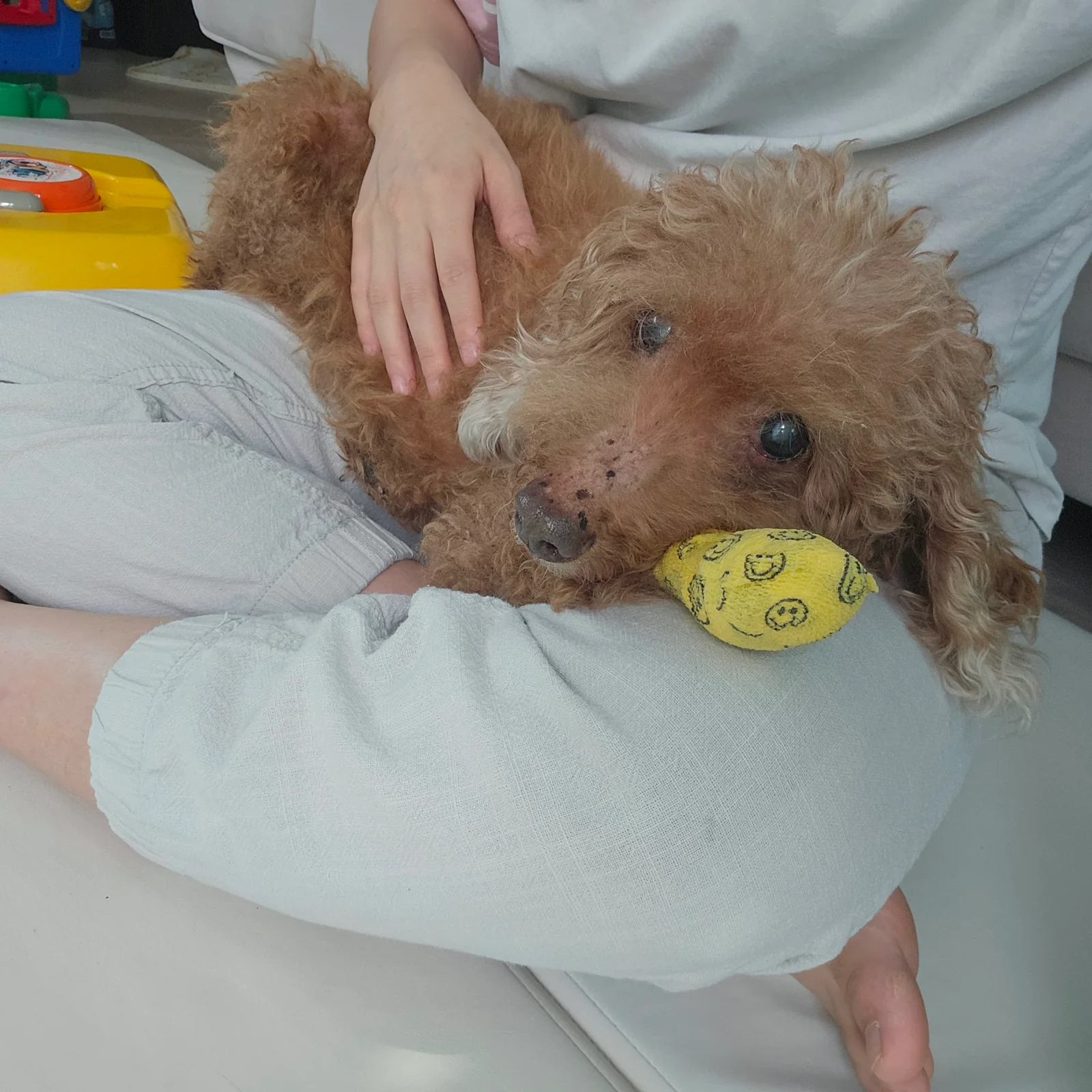 금란동물병원 사진 2