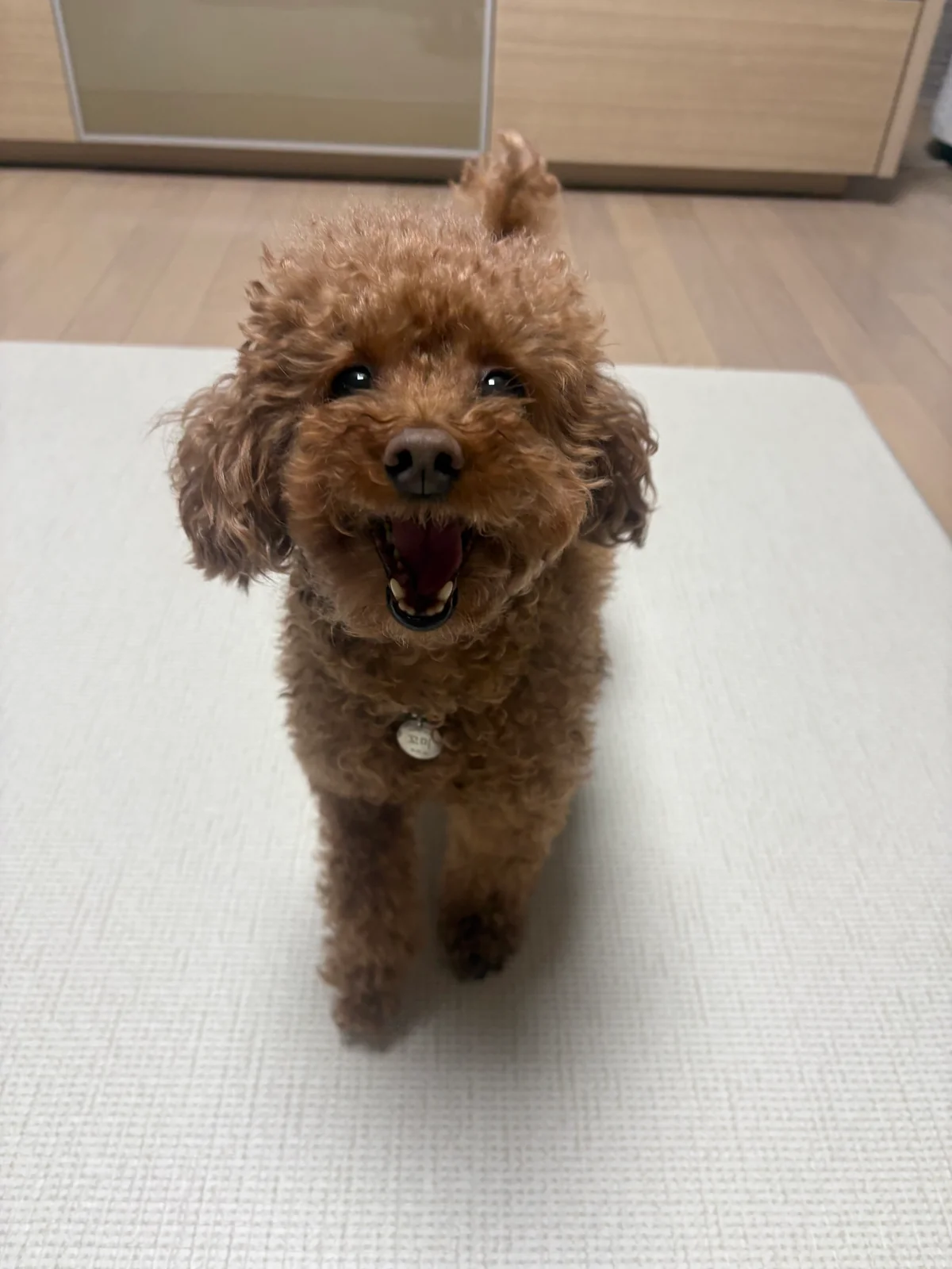 리뷰 사진 1