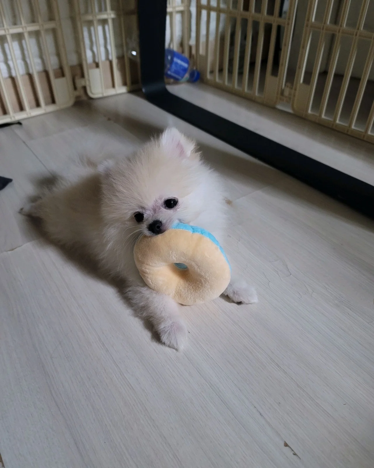 리뷰 사진 1