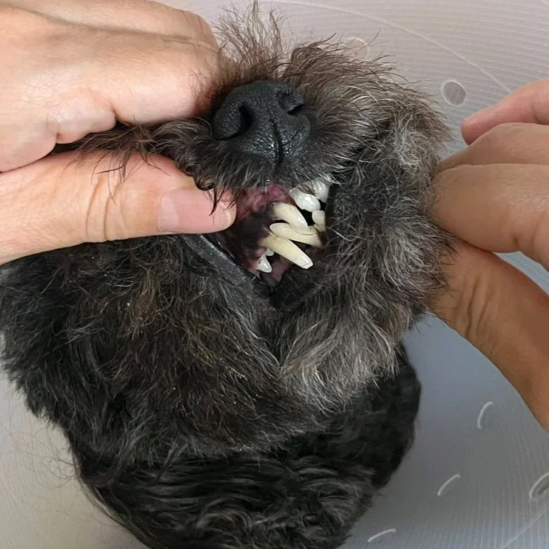 리뷰 사진 2