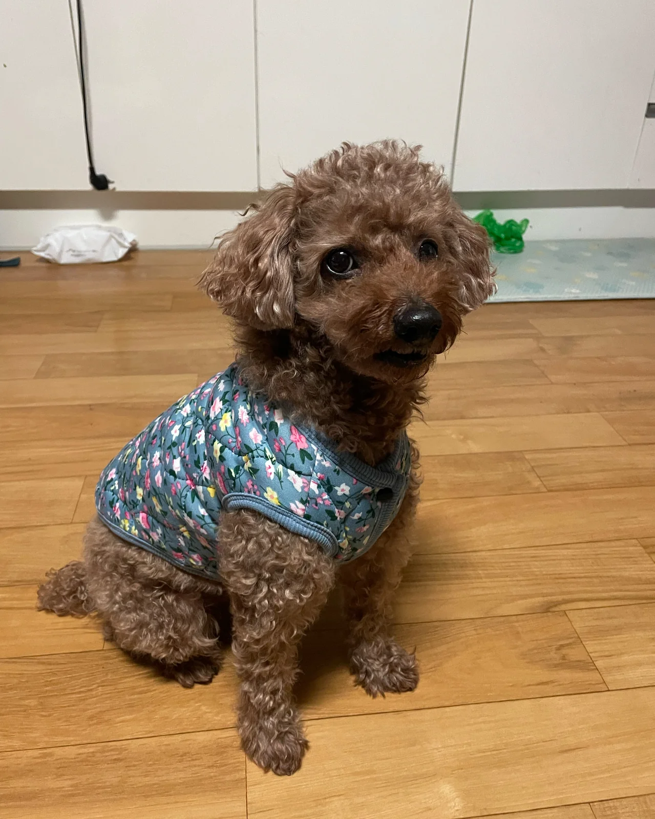 리뷰 사진 1