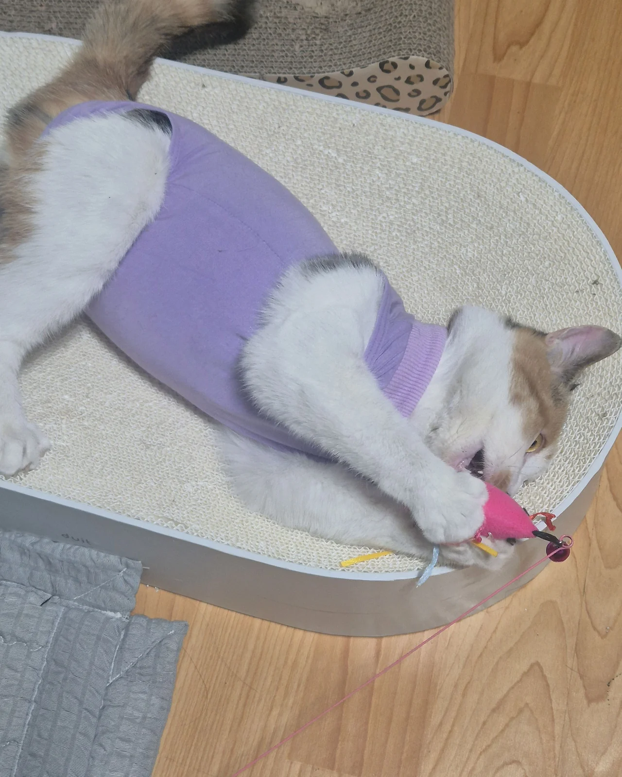 리뷰 사진 1