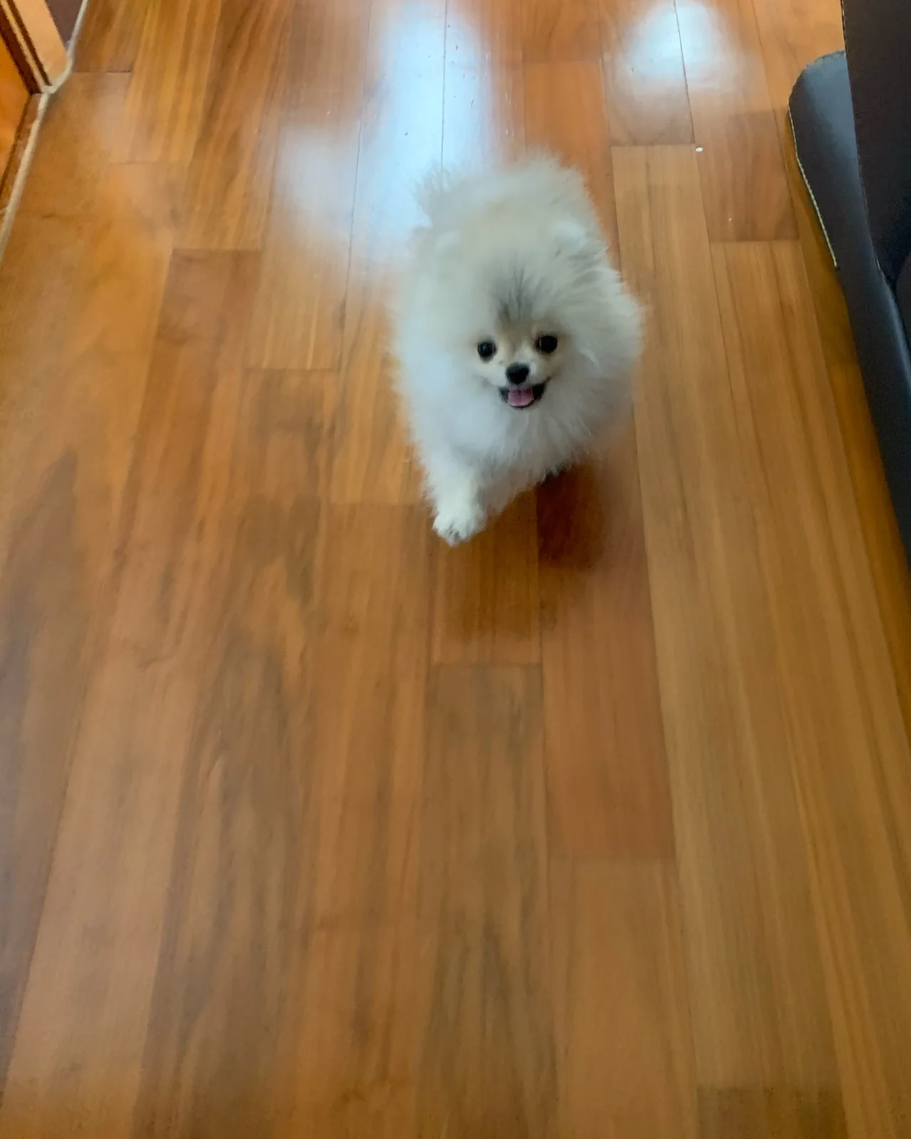 리뷰 사진 1