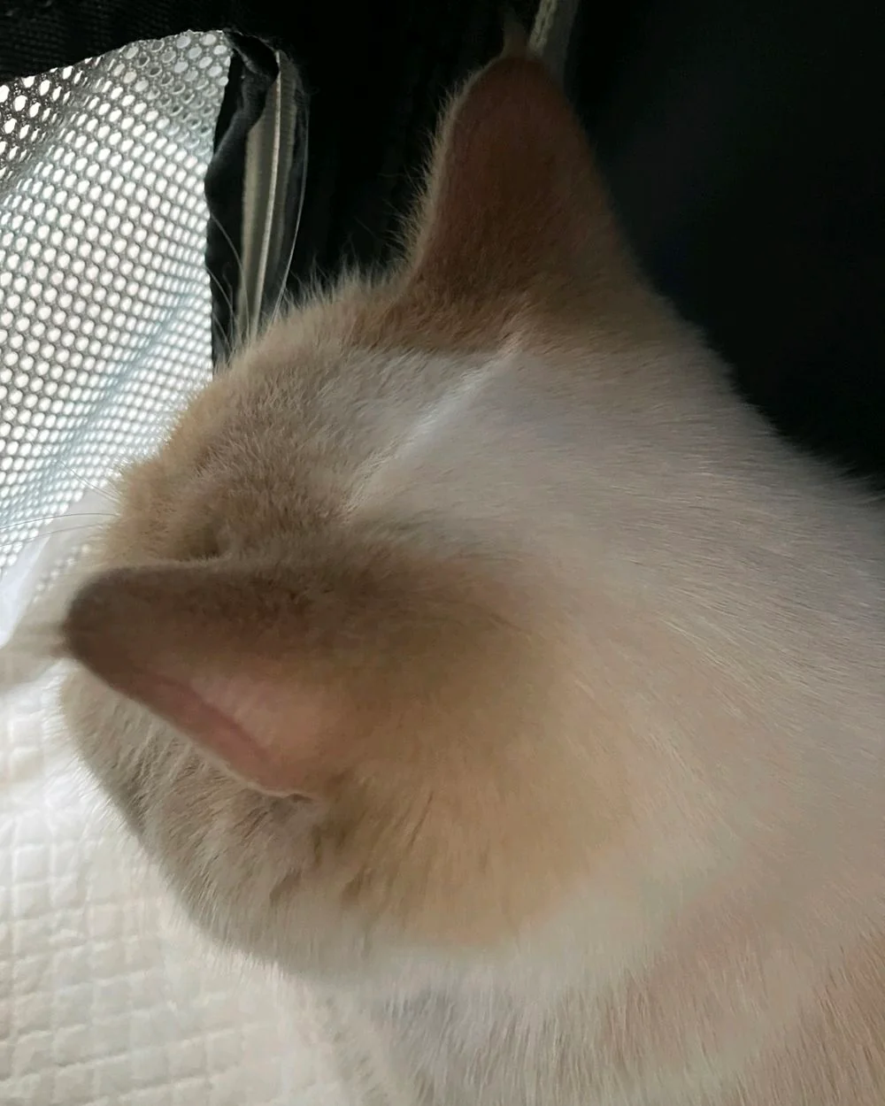 리뷰 사진 1