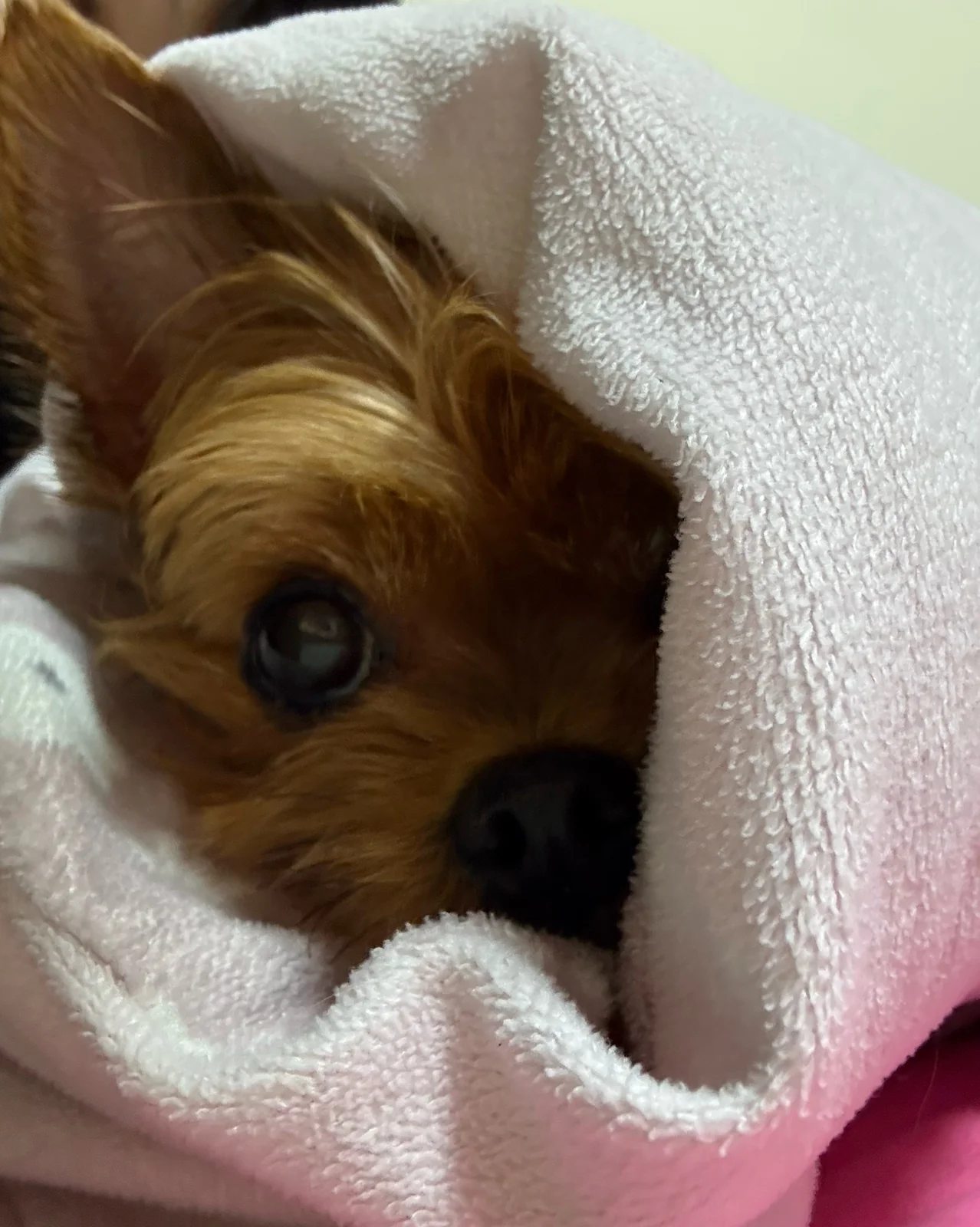 리뷰 사진 1