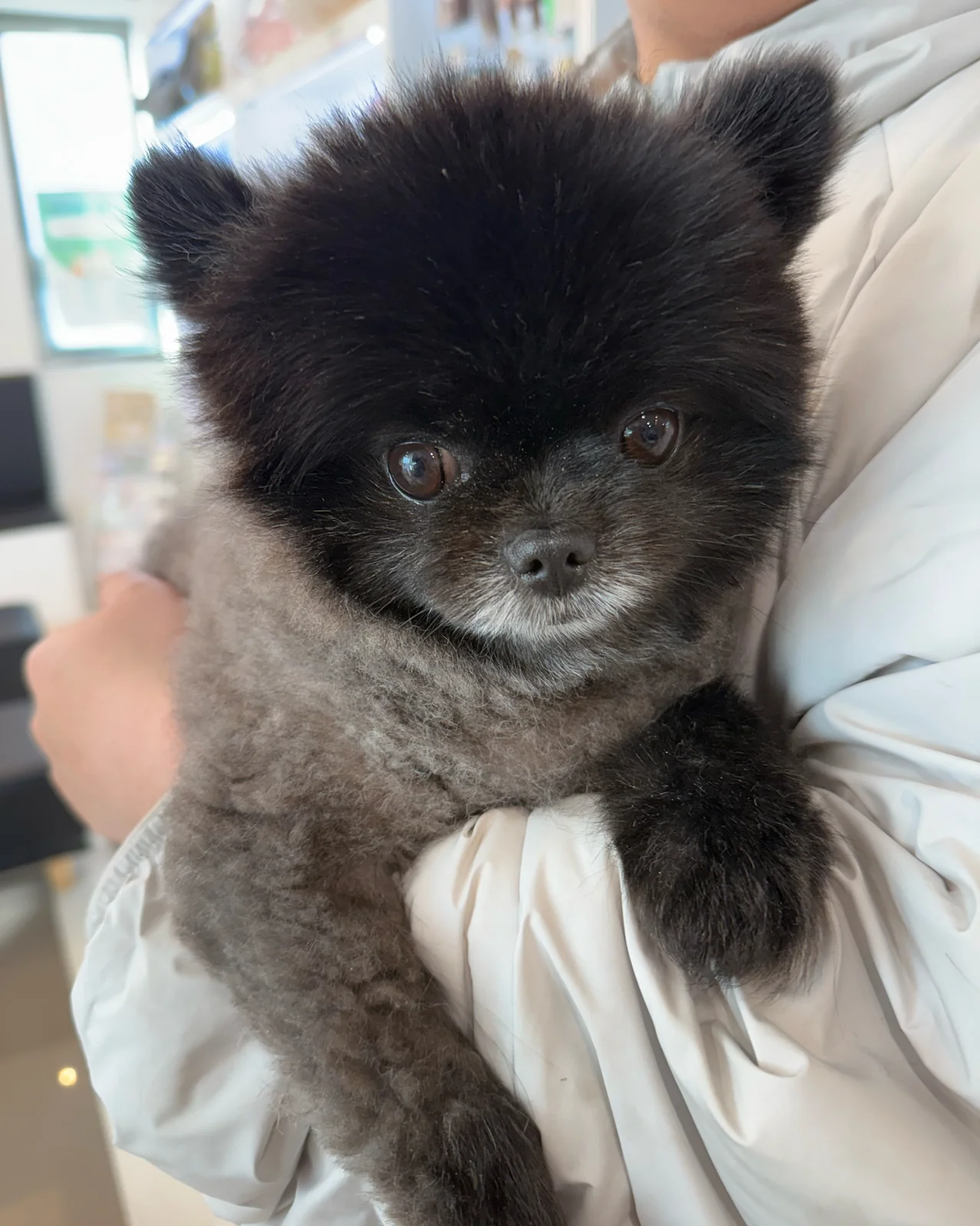 리뷰 사진 1