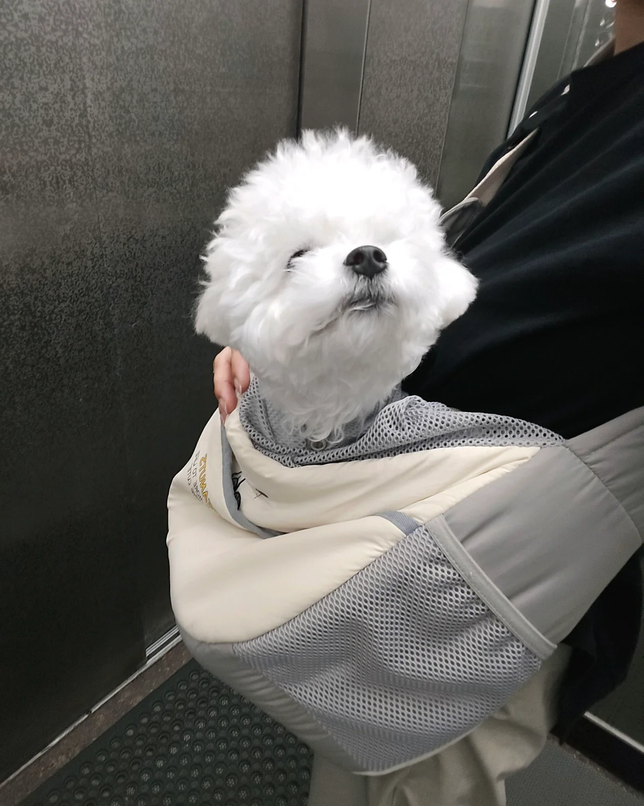 리뷰 사진 1
