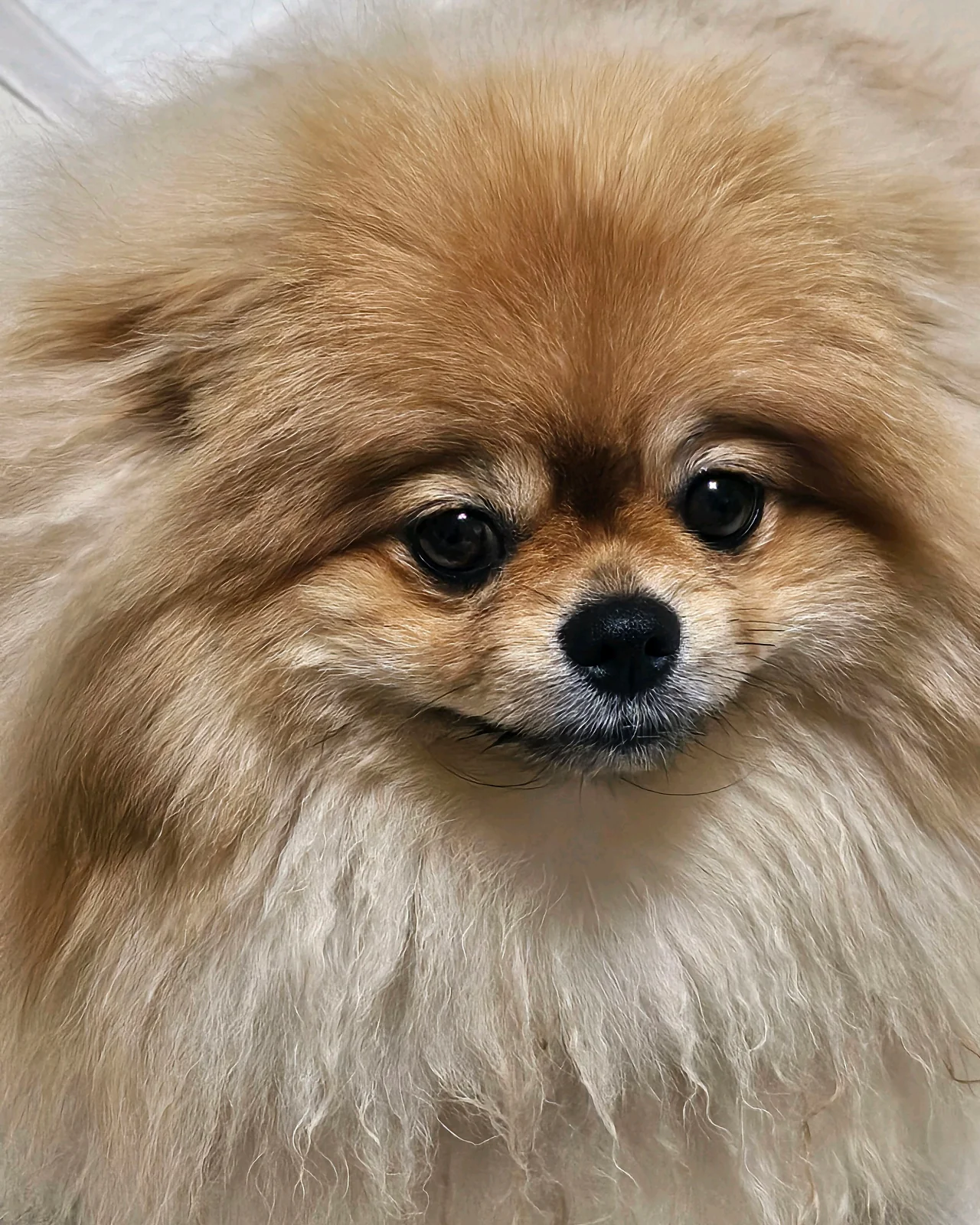 리뷰 사진 1