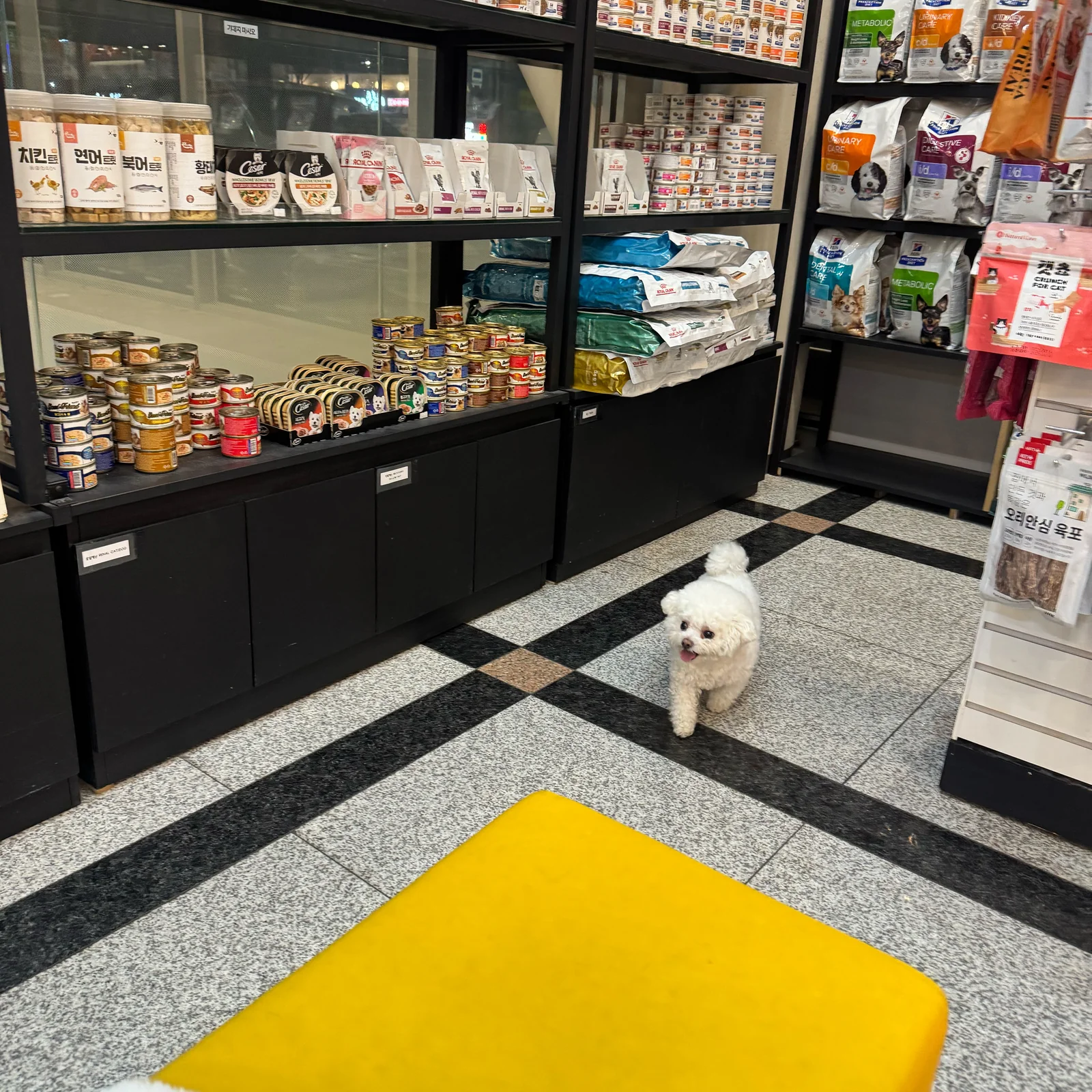 리뷰 사진 1