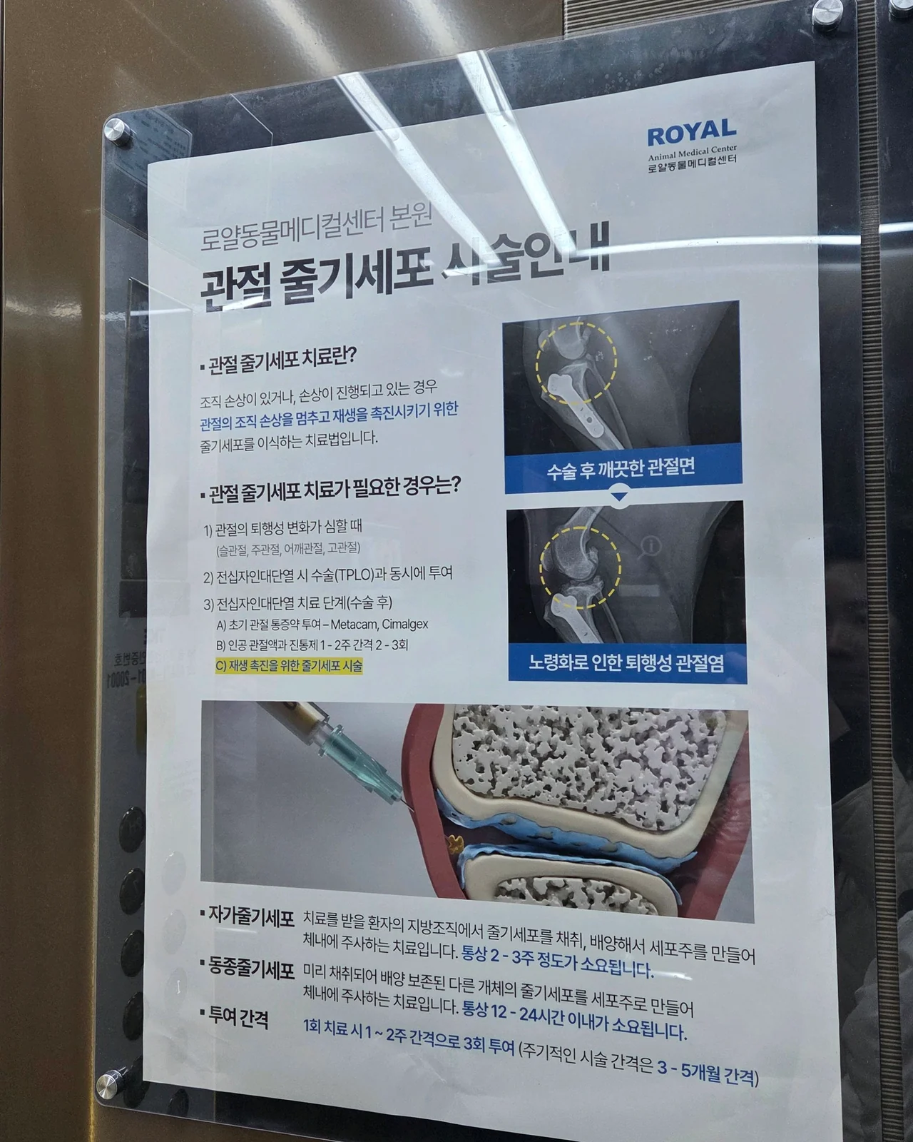 리뷰 사진 3