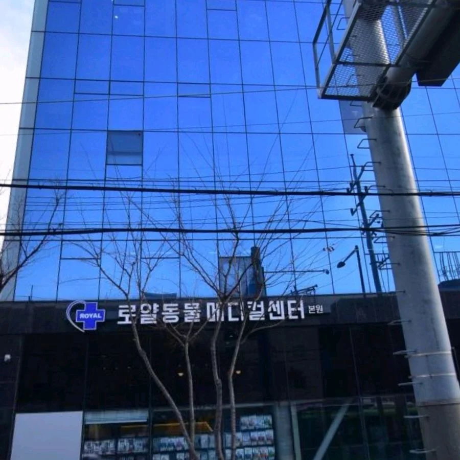 리뷰 사진 1