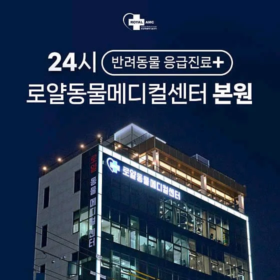 리뷰 사진 1