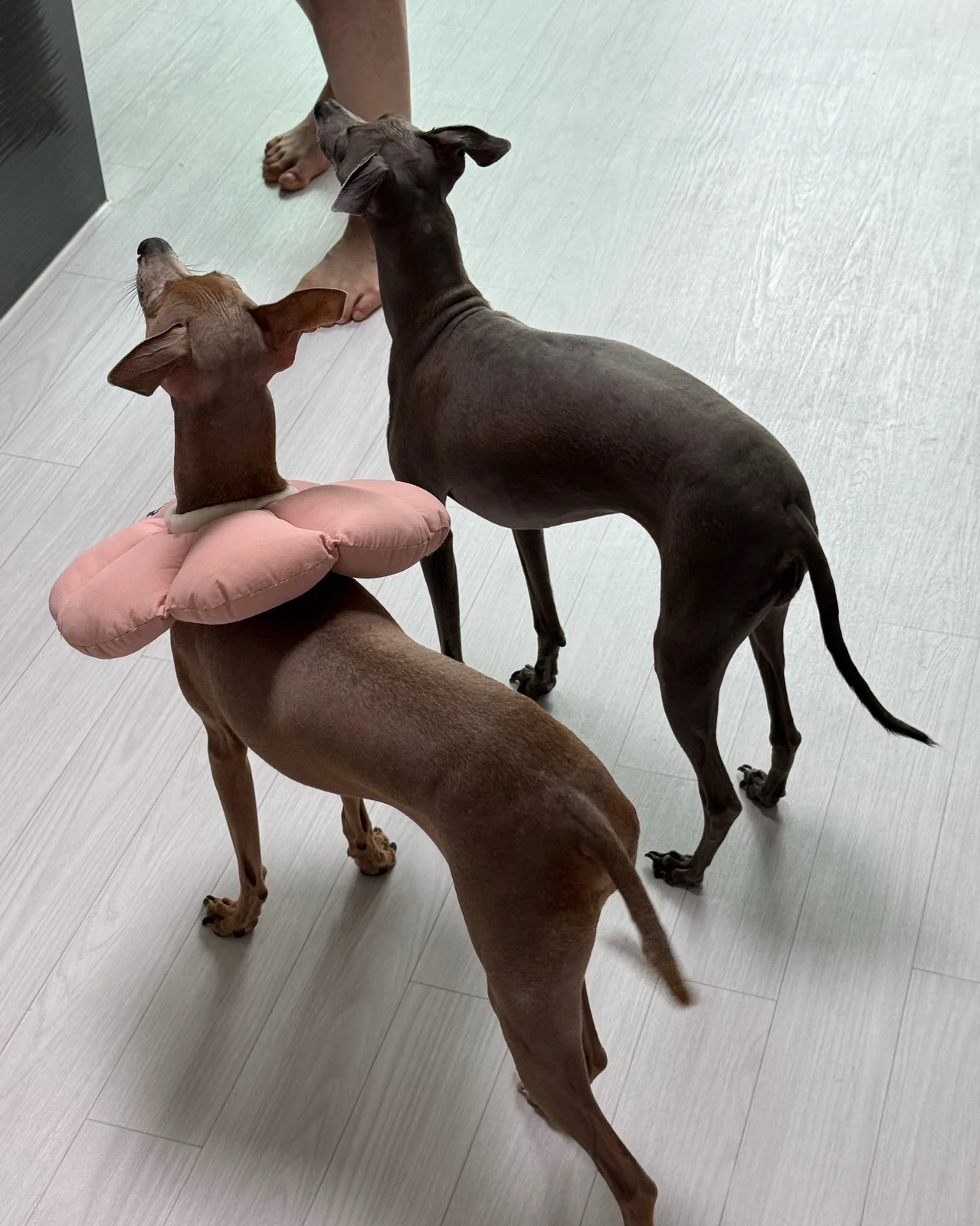 리뷰 사진 1