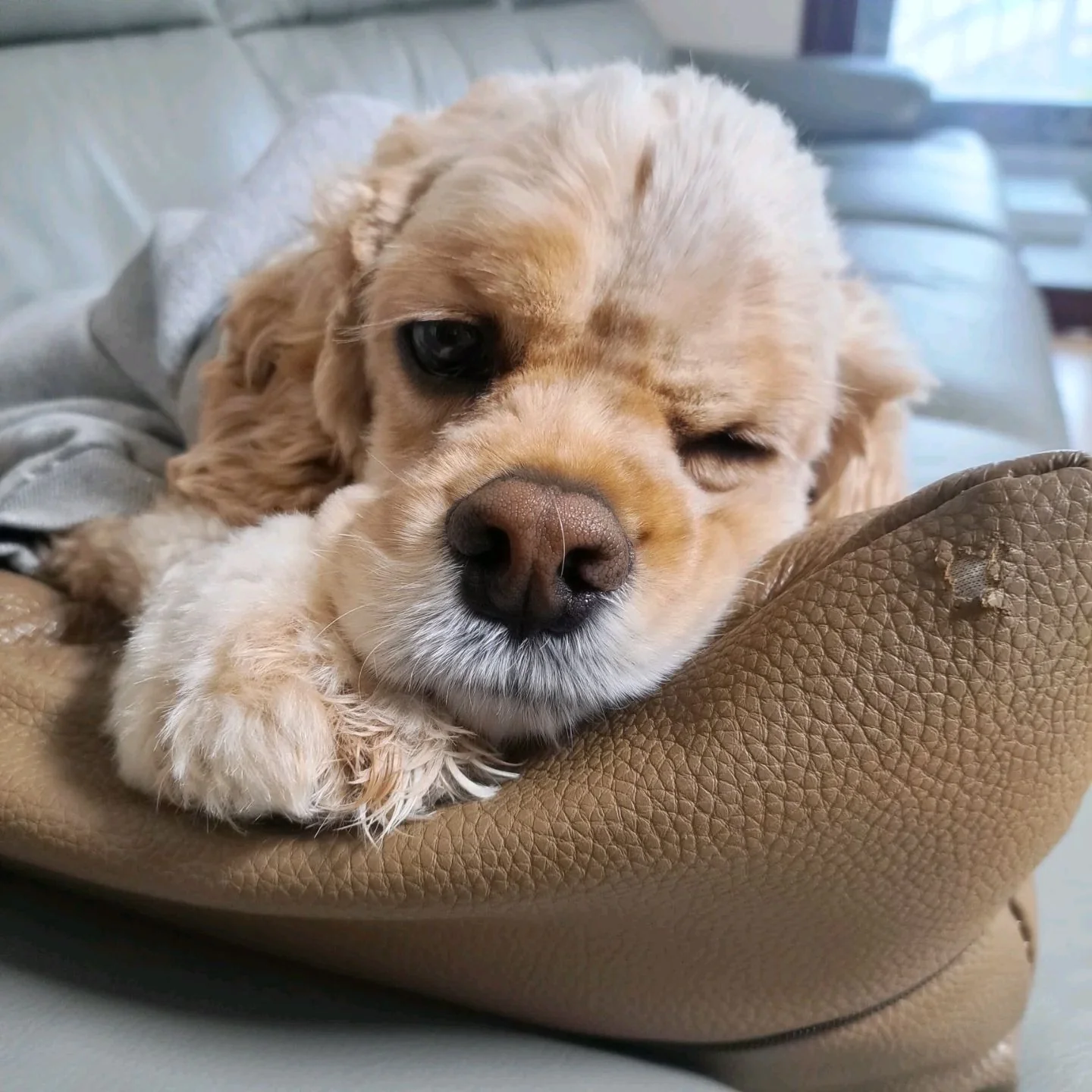 리뷰 사진 1