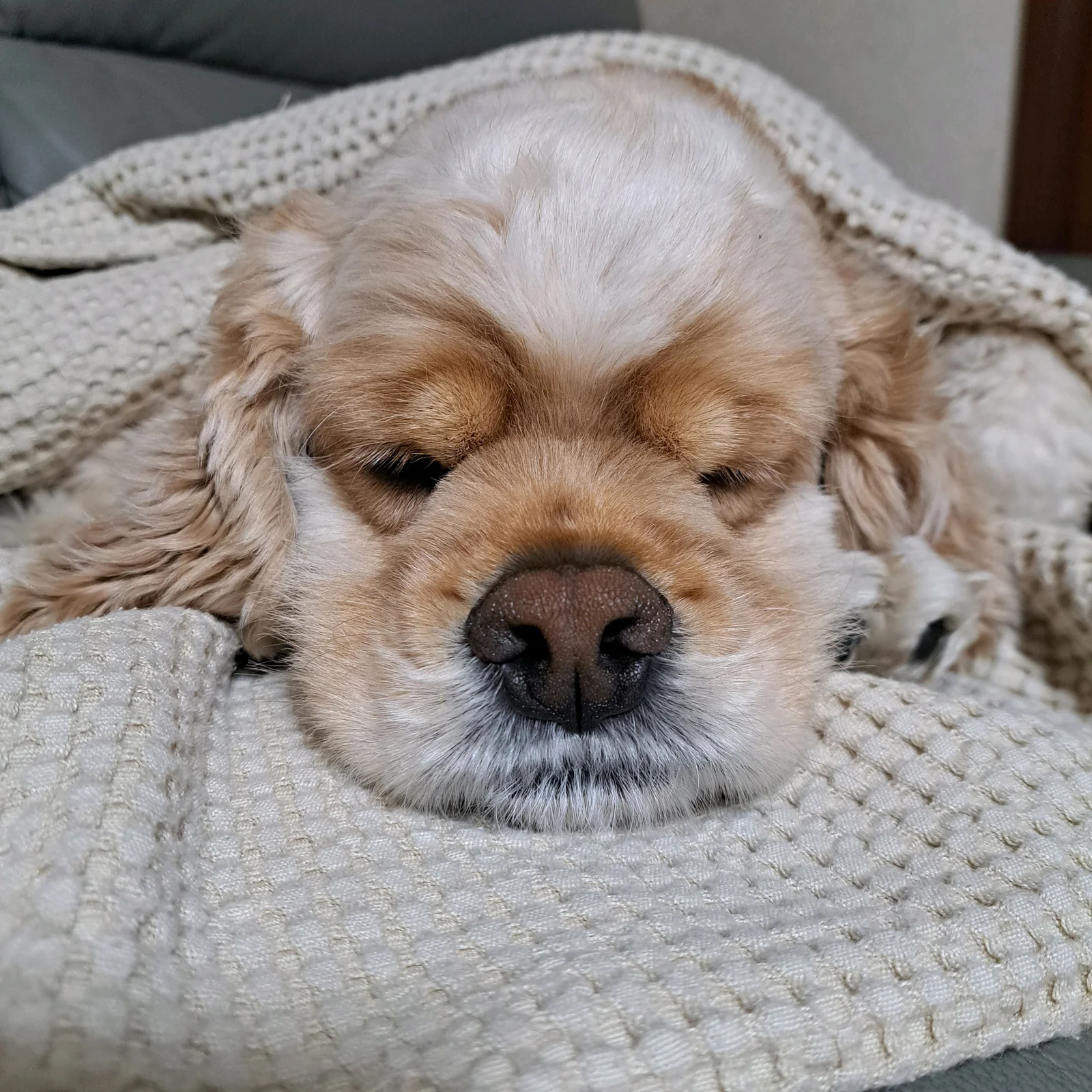 리뷰 사진 1