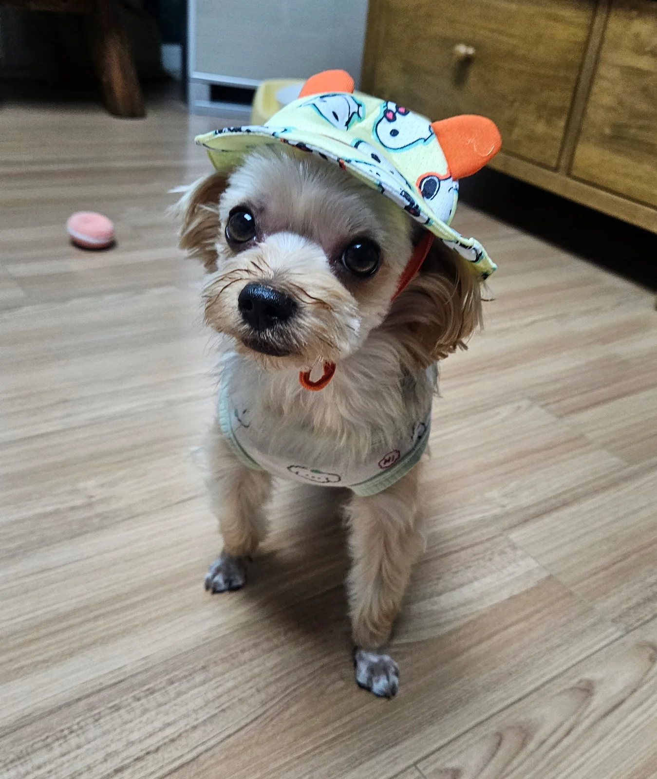 리뷰 사진 1