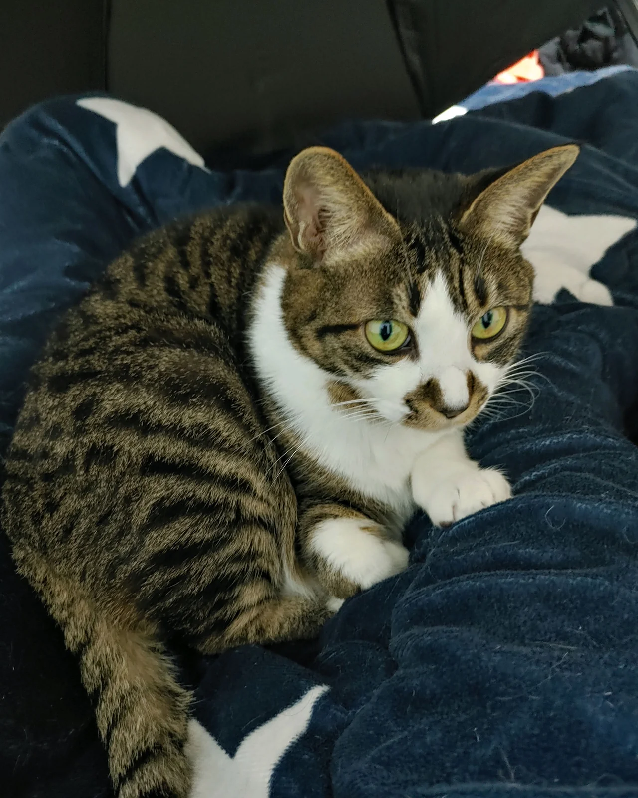 로이동물병원 사진 2