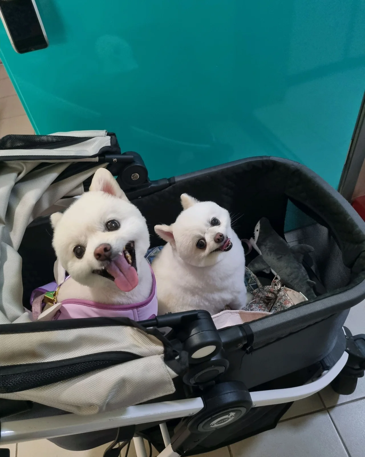 리뷰 사진 1
