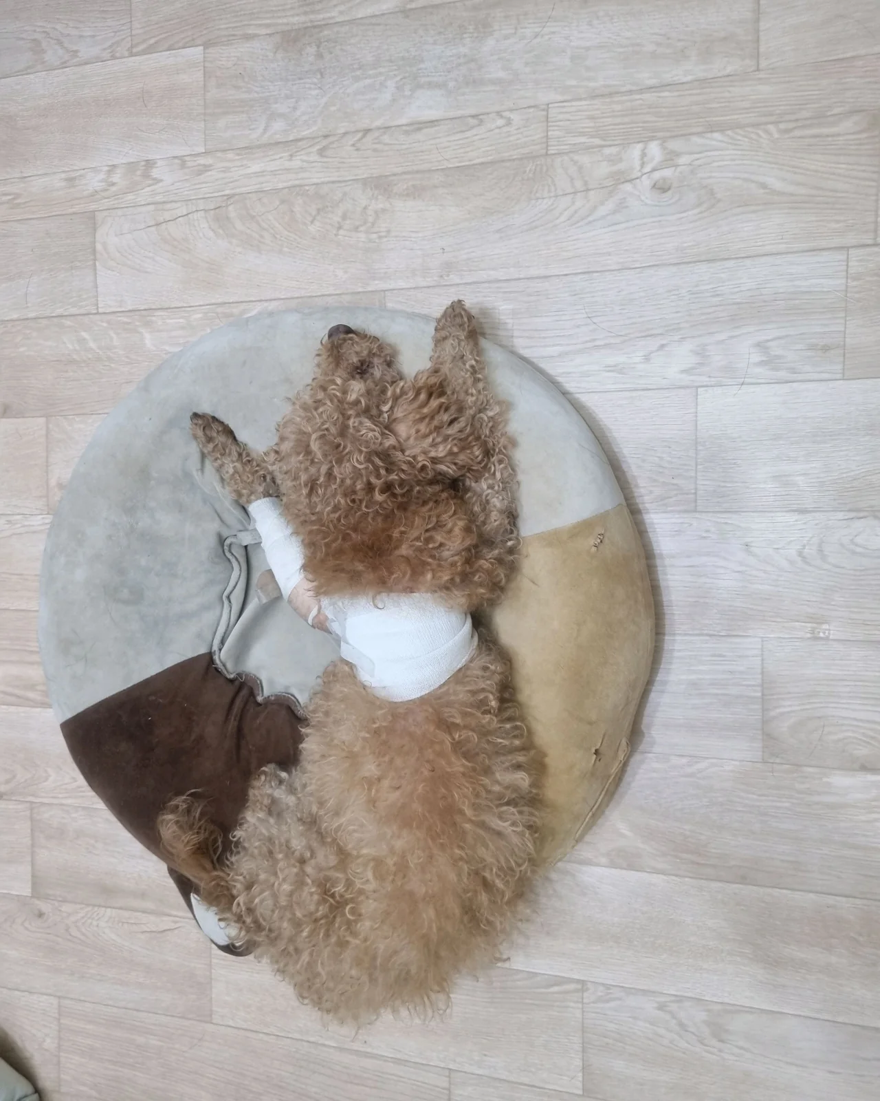리뷰 사진 1