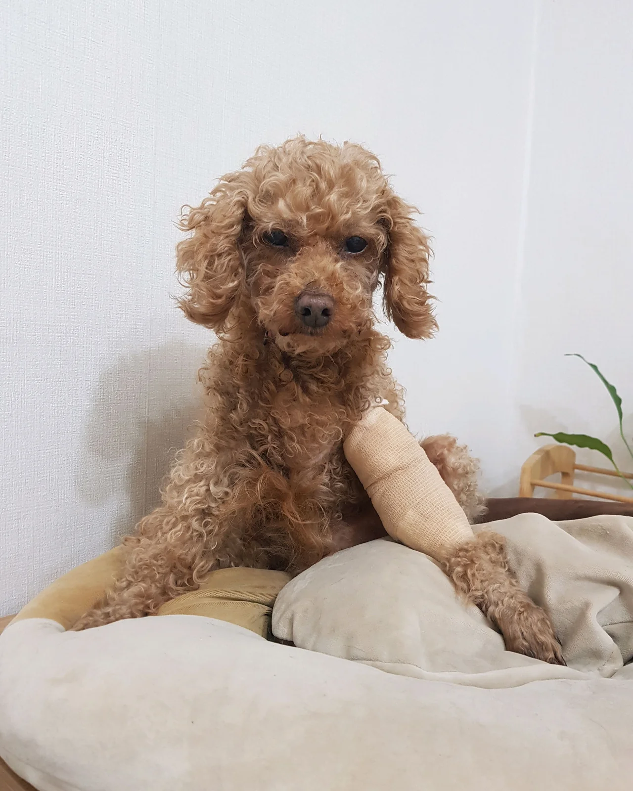 리뷰 사진 3
