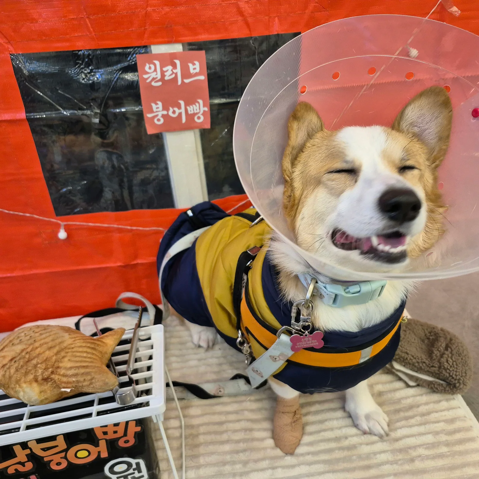 리뷰 사진 1