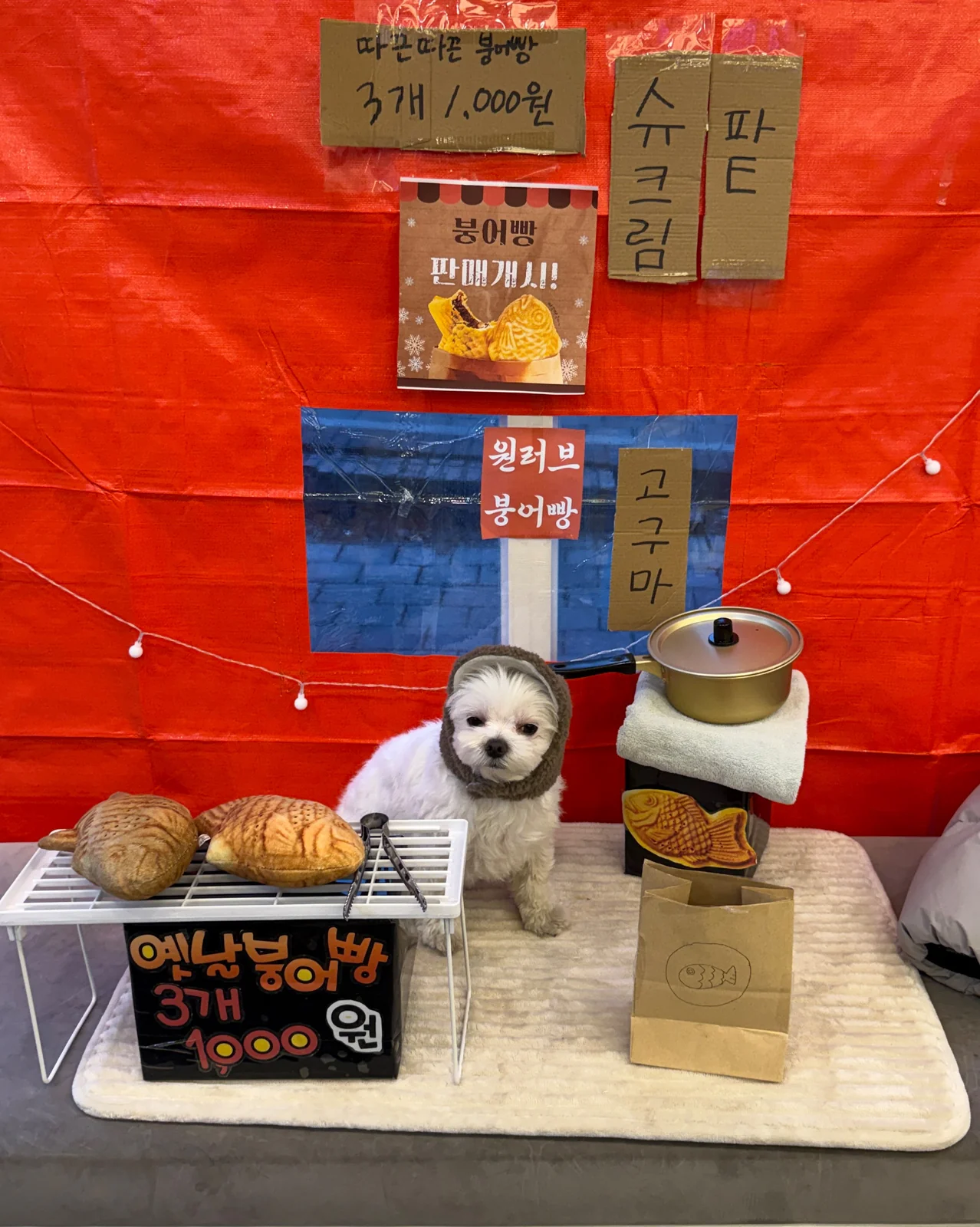 리뷰 사진 1