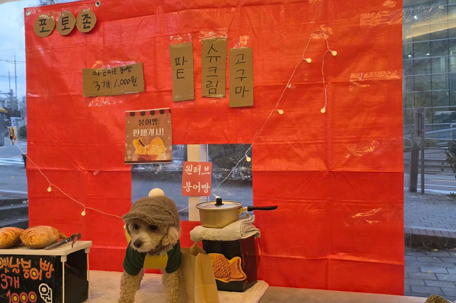 리뷰 사진 1
