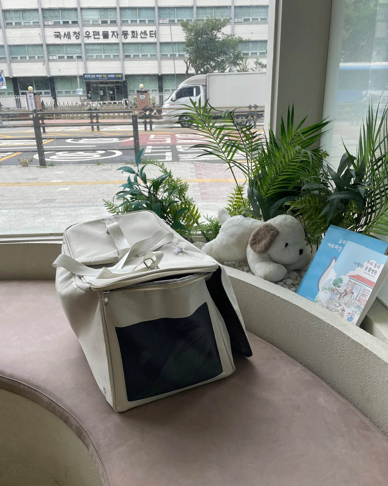 리뷰 사진 1