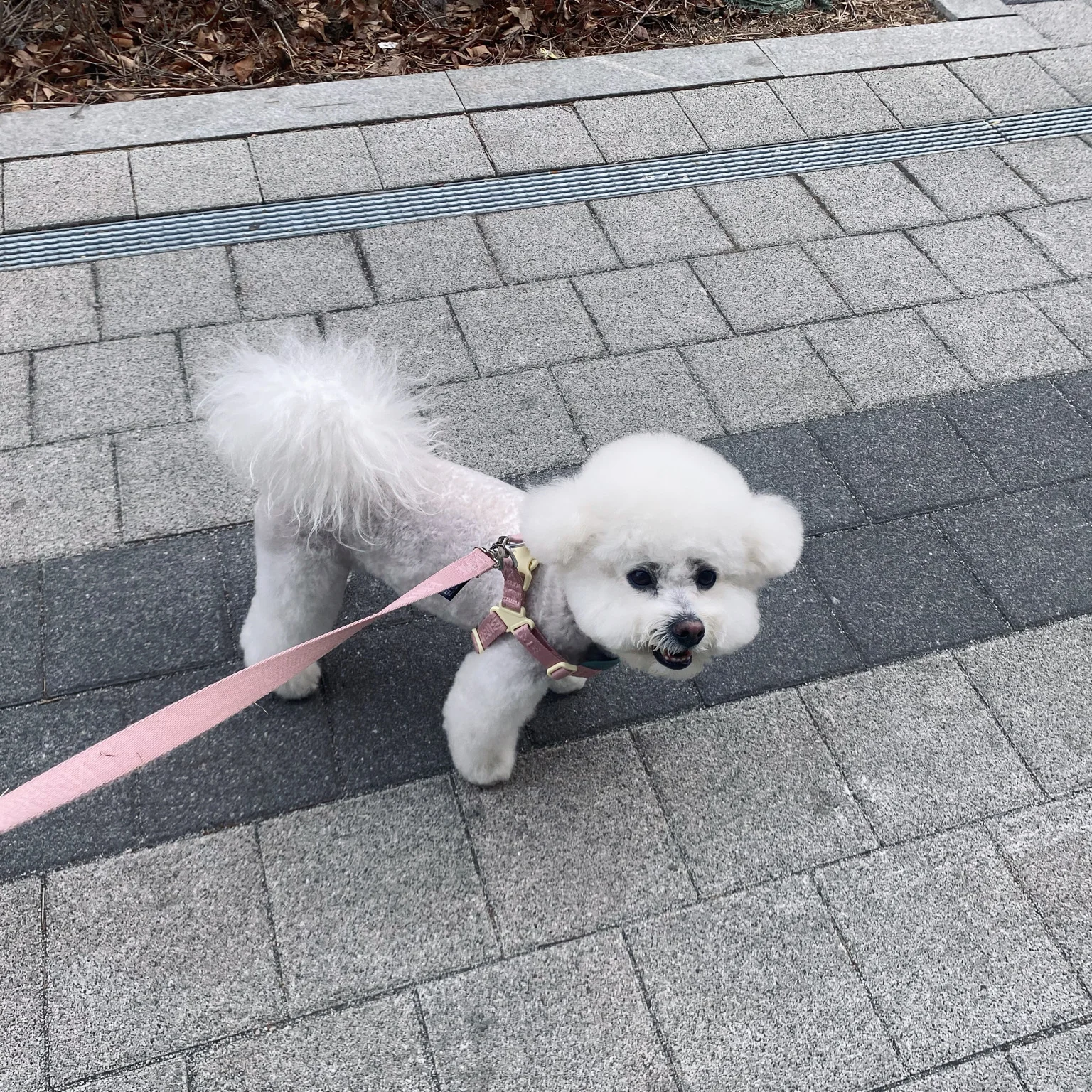 리뷰 사진 3