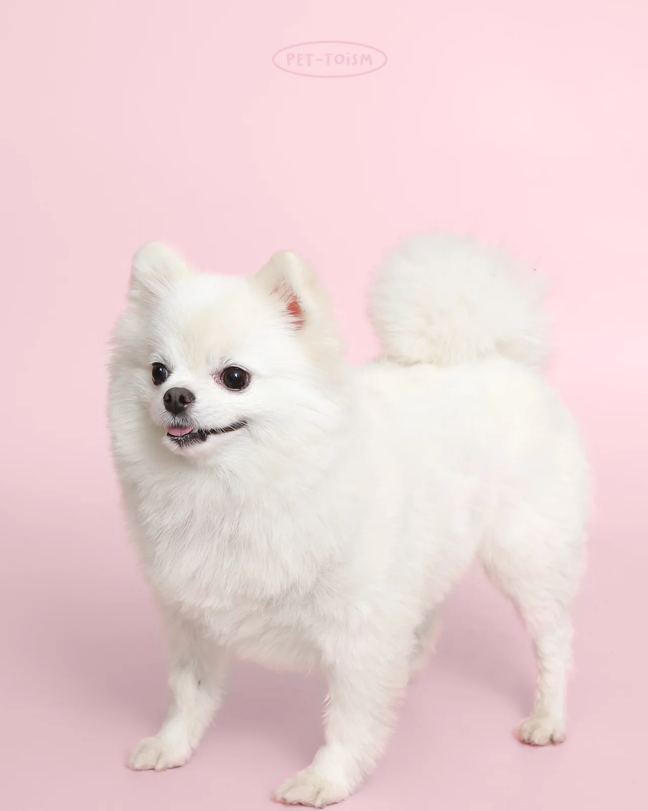 아이튼튼동물병원 사진 2