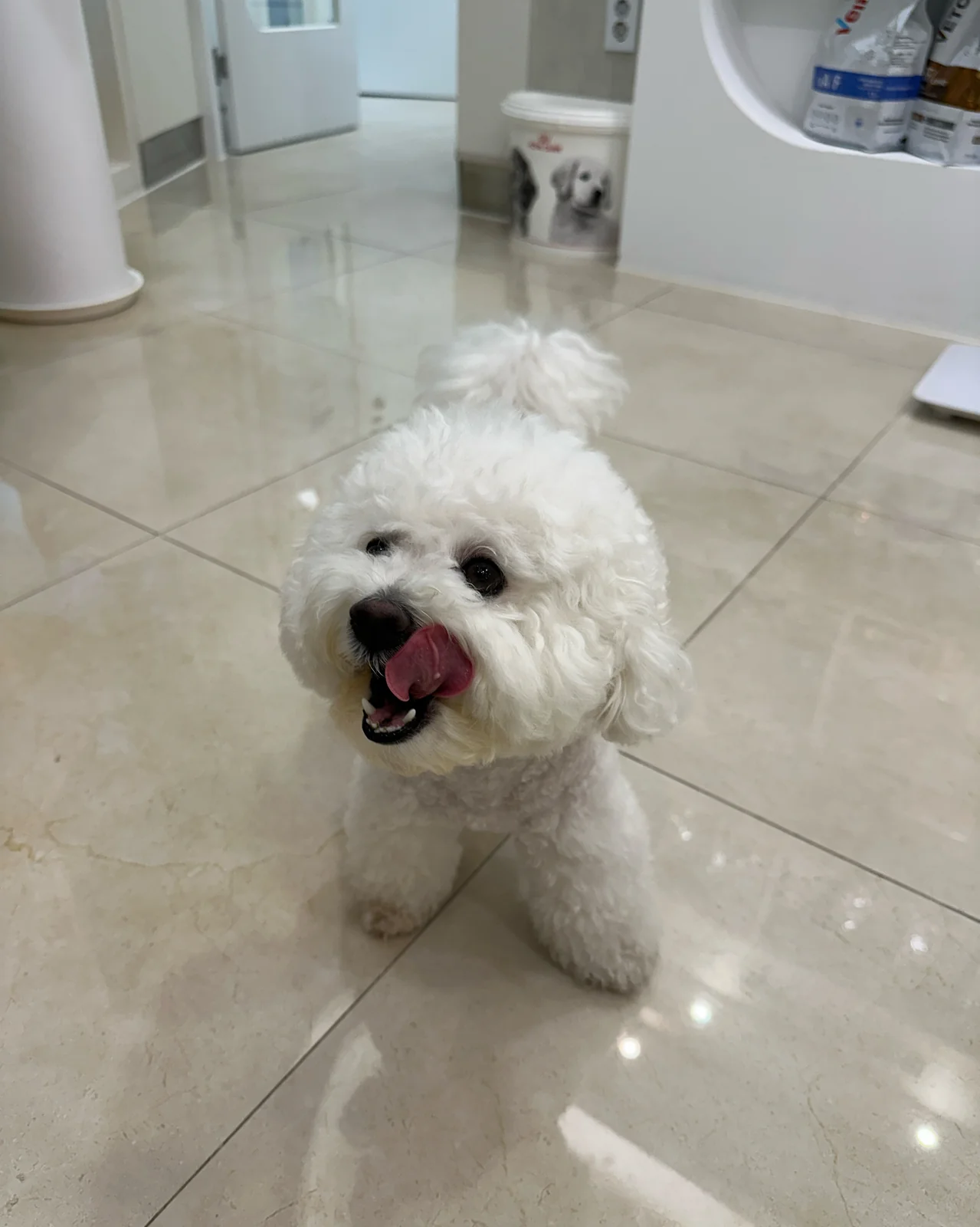 리뷰 사진 2