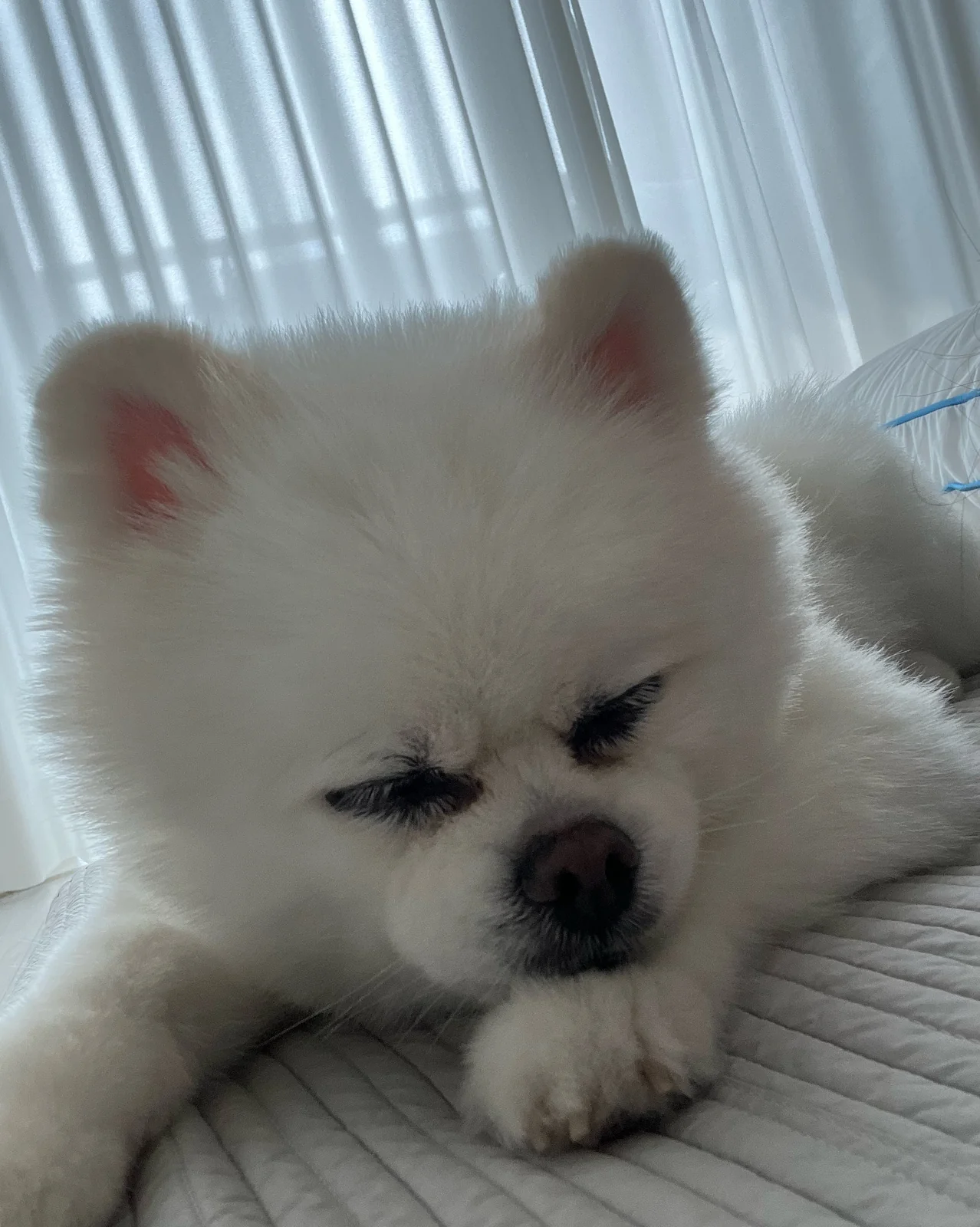리뷰 사진 2
