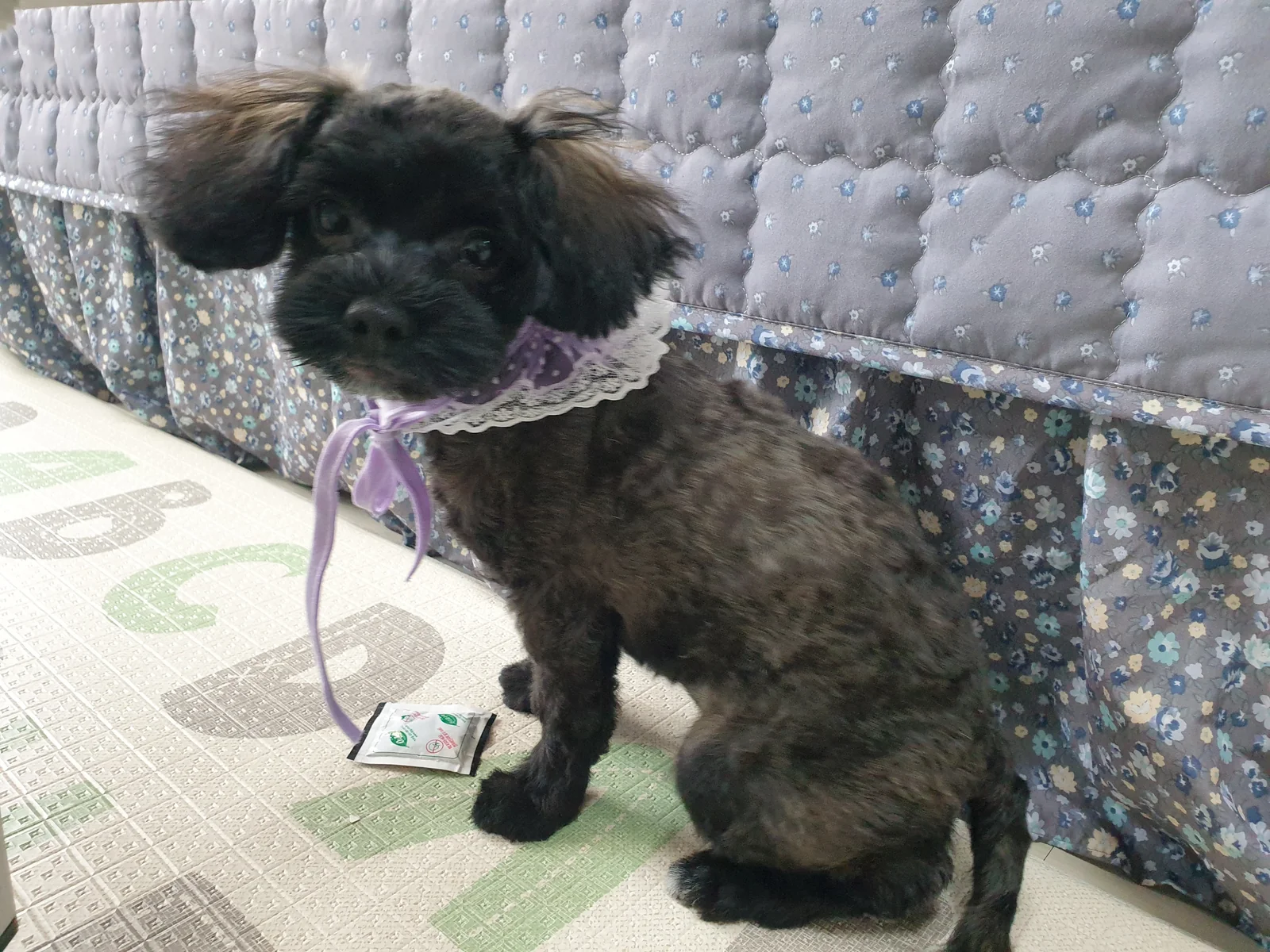 리뷰 사진 1