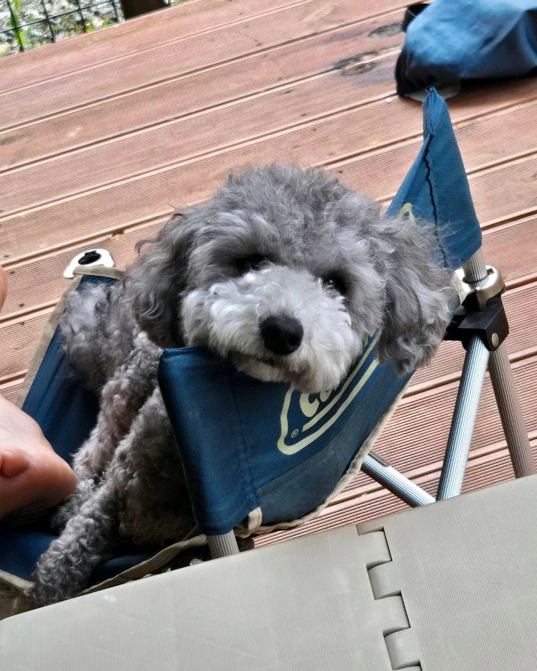 리뷰 사진 1