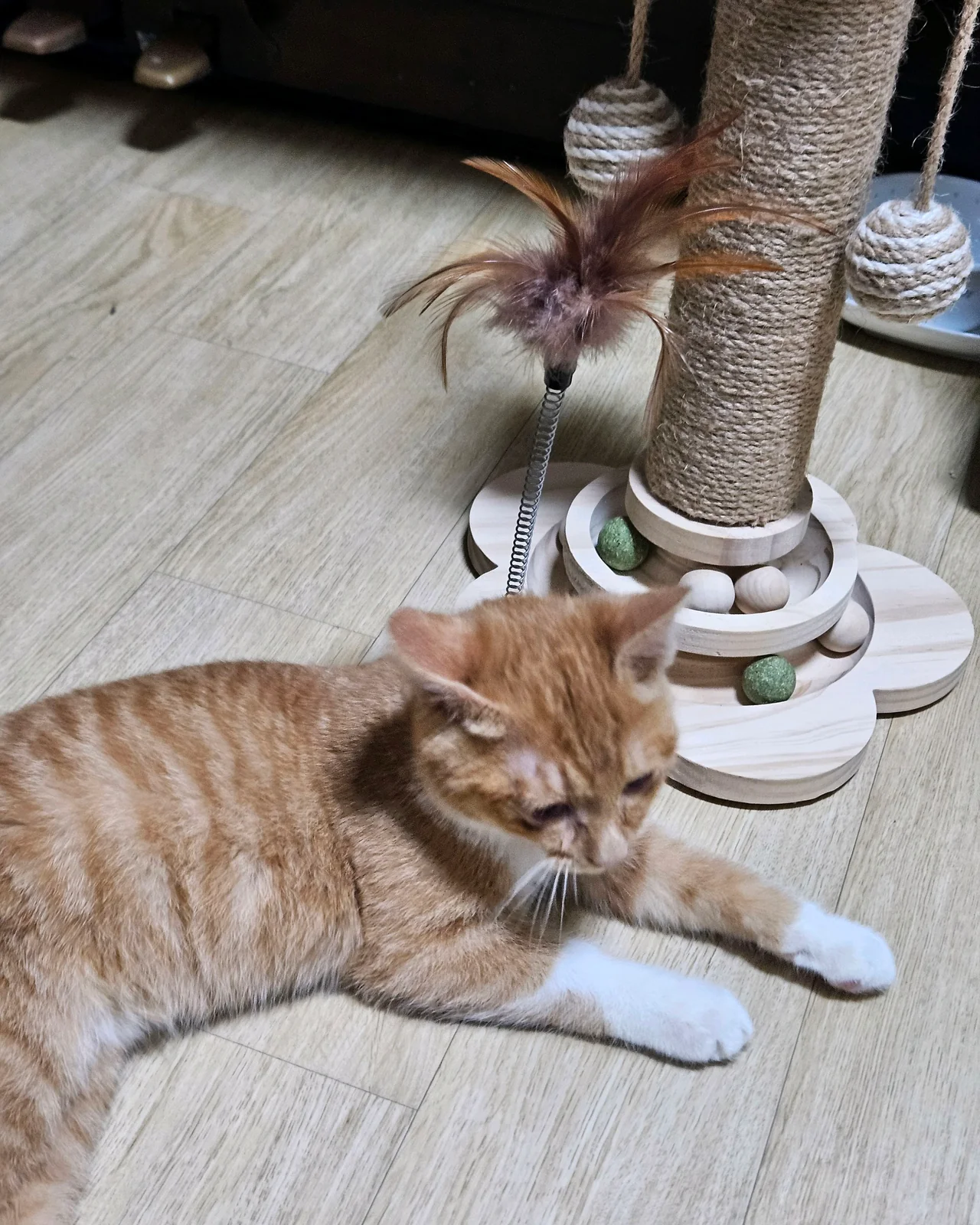 리뷰 사진 2
