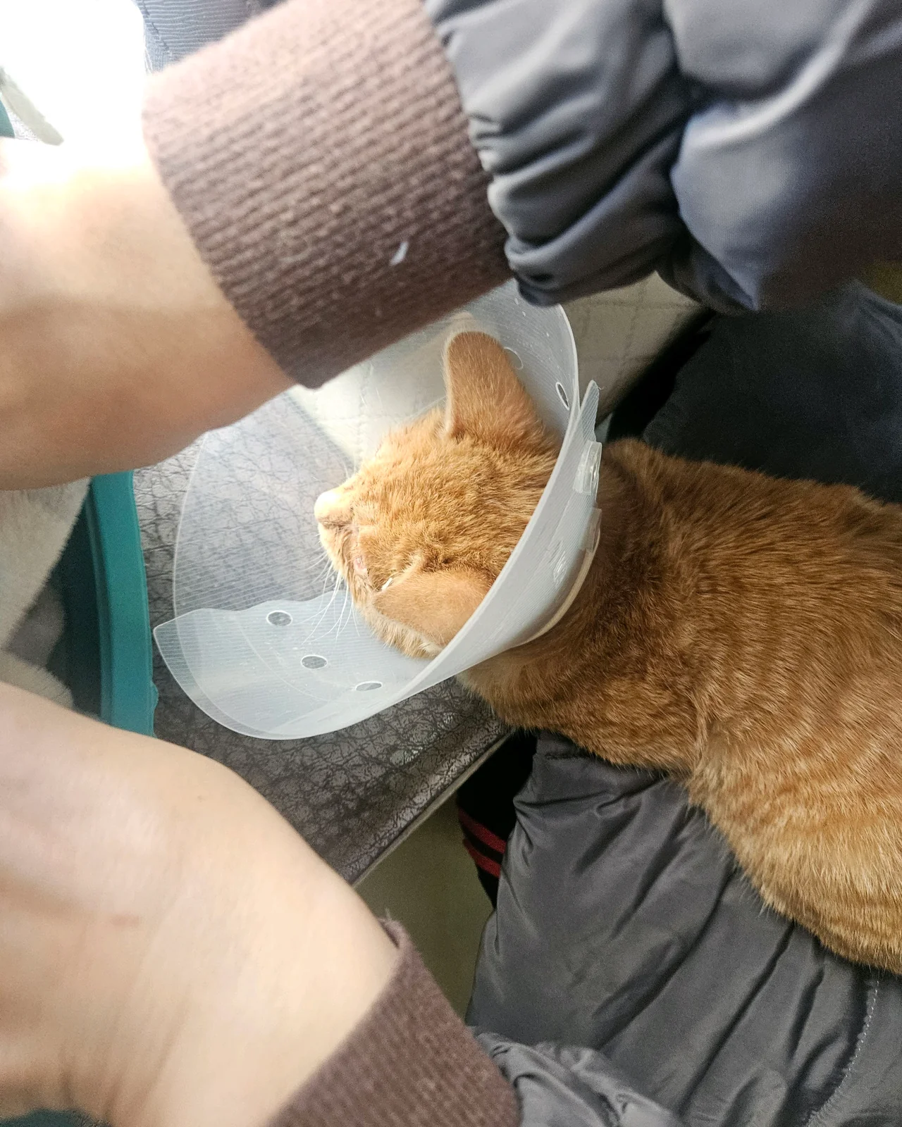 리뷰 사진 1