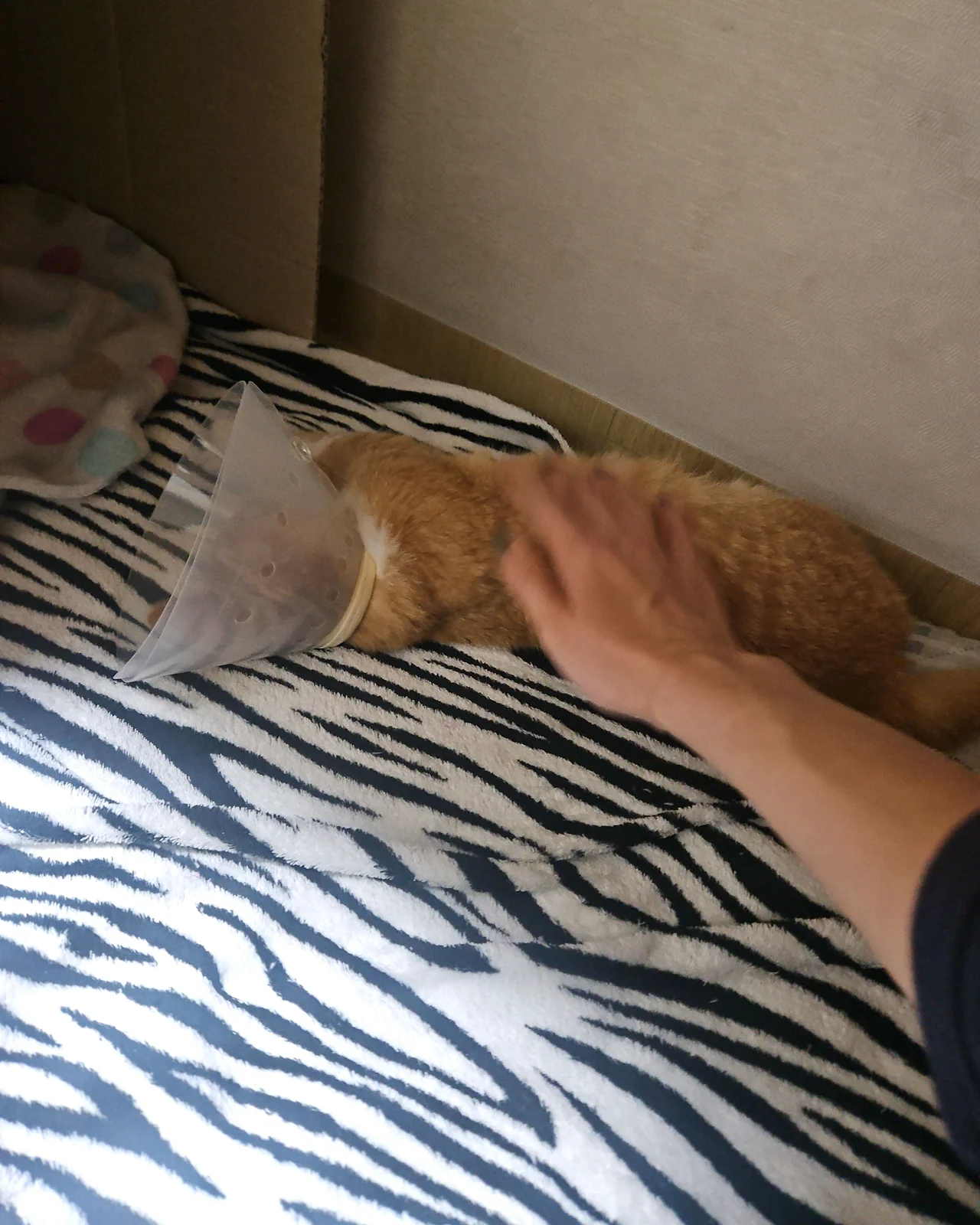 리뷰 사진 5
