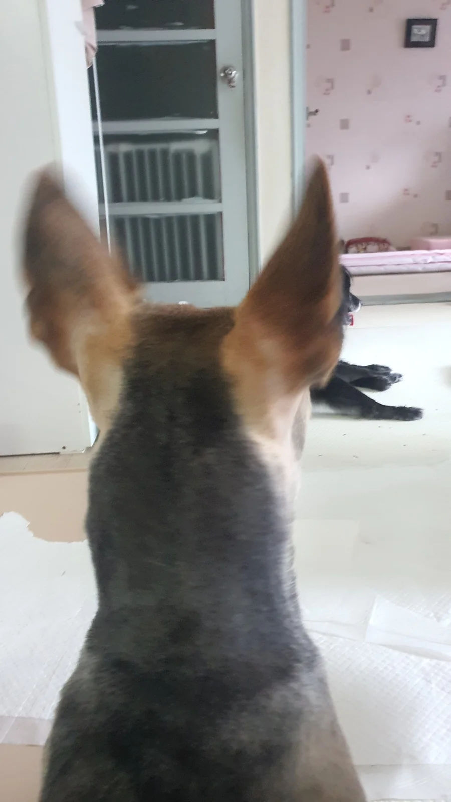 리뷰 사진 1