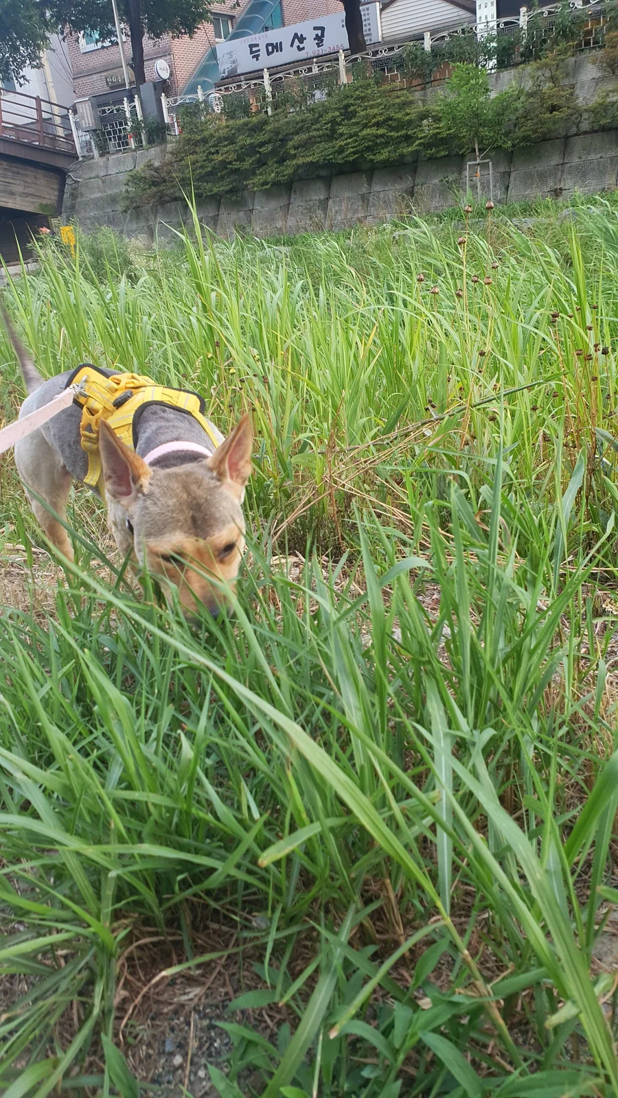 리뷰 사진 1