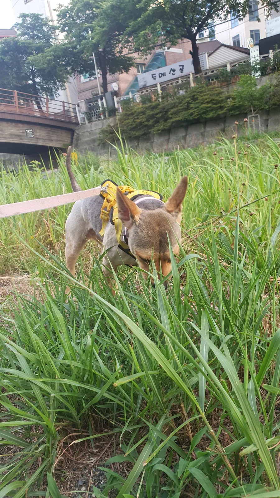 리뷰 사진 3