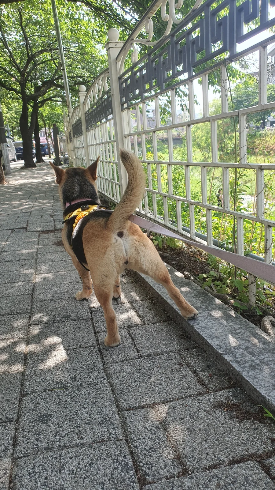 리뷰 사진 1