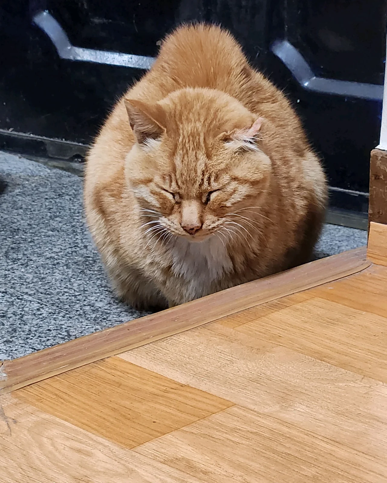 리뷰 사진 1