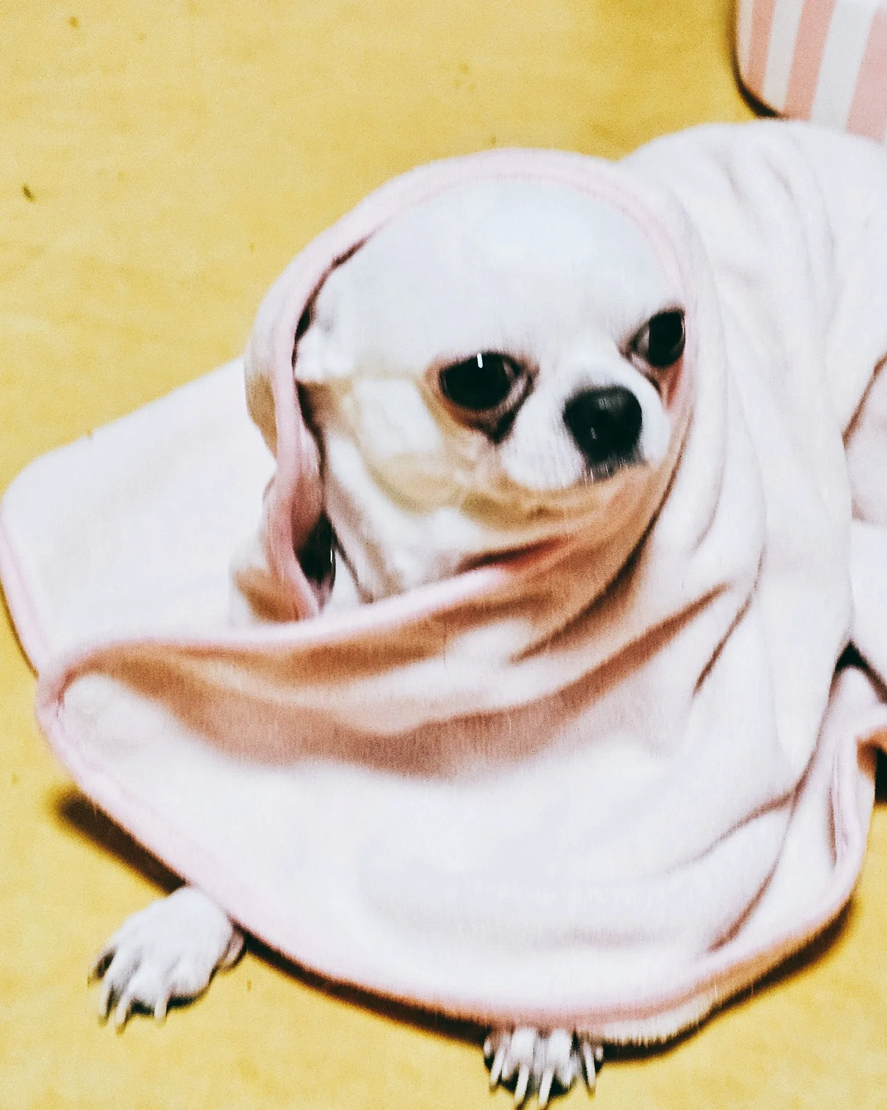 리뷰 사진 1