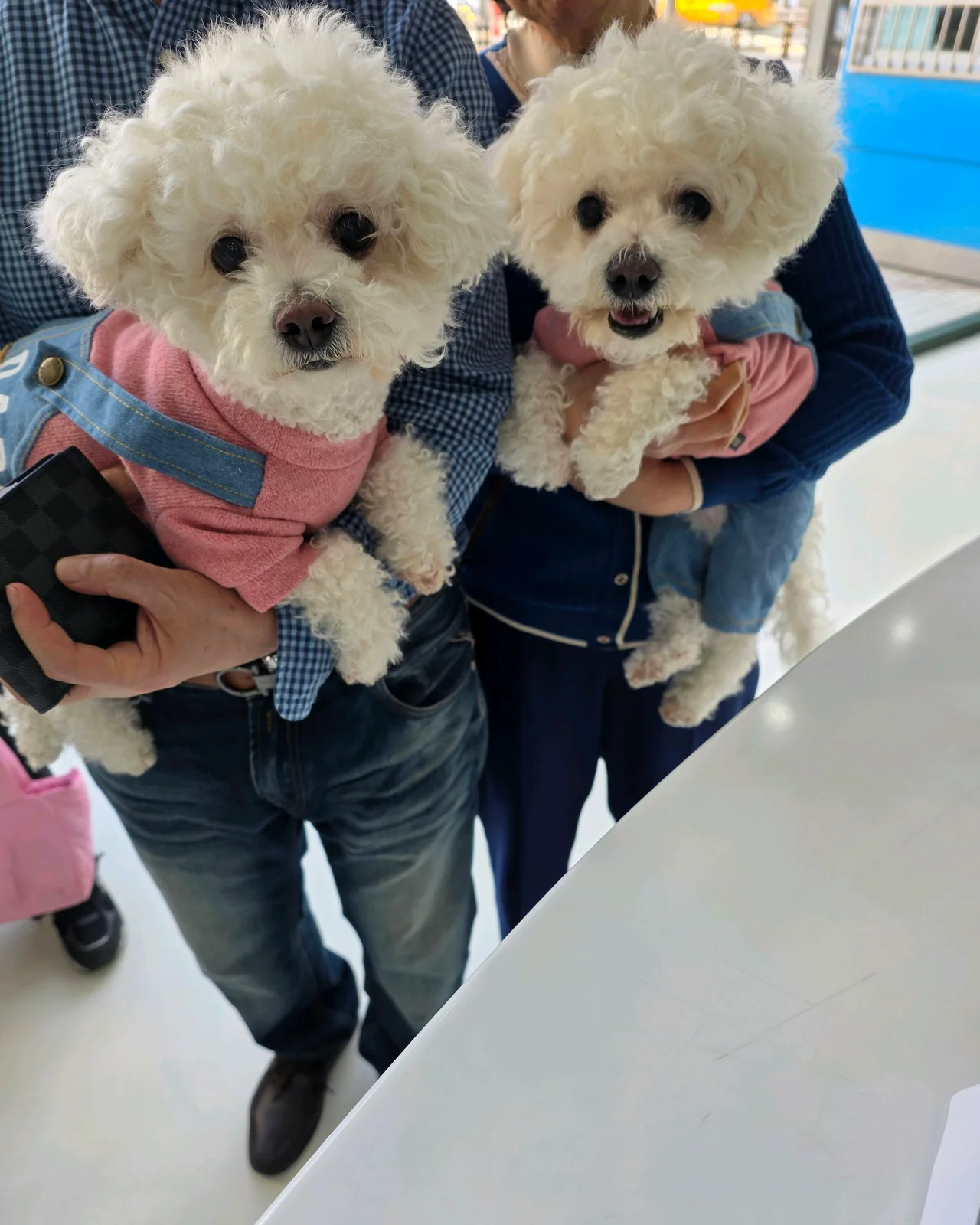 리뷰 사진 1