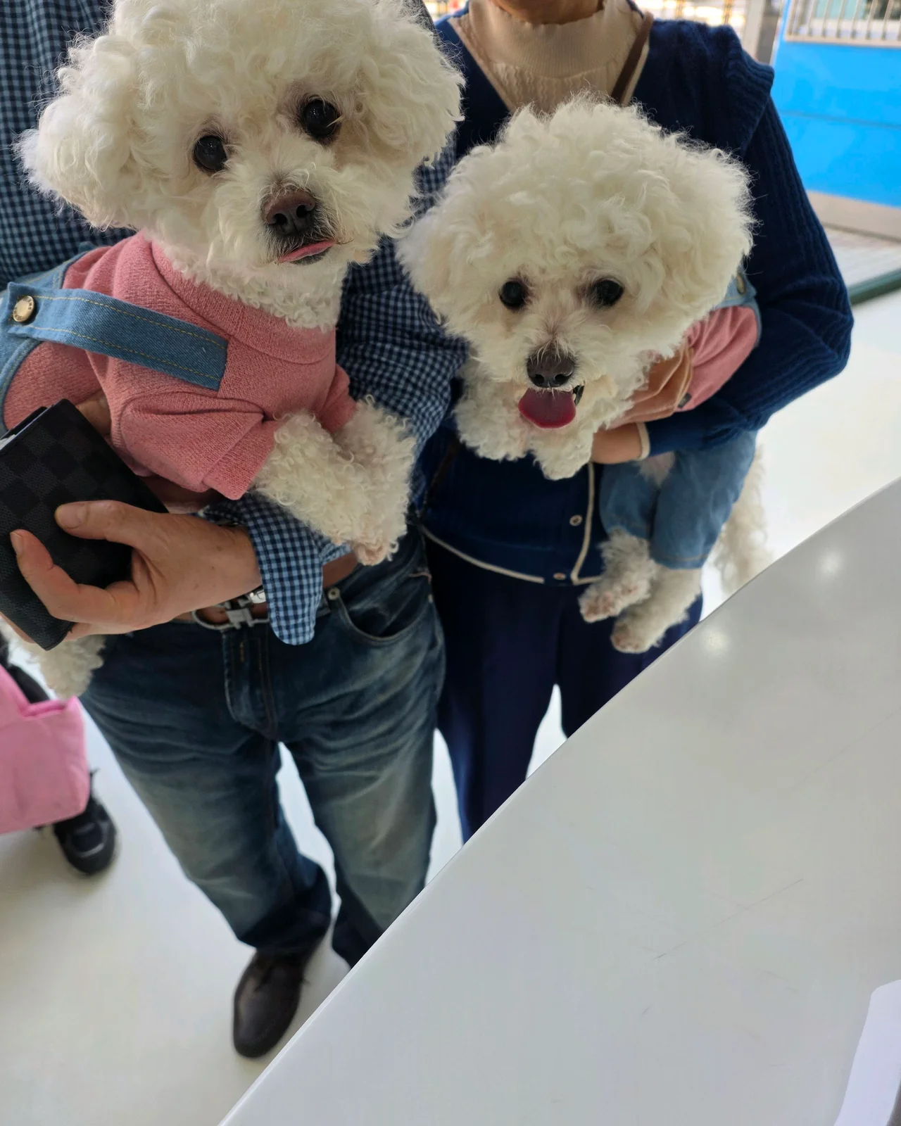 리뷰 사진 2