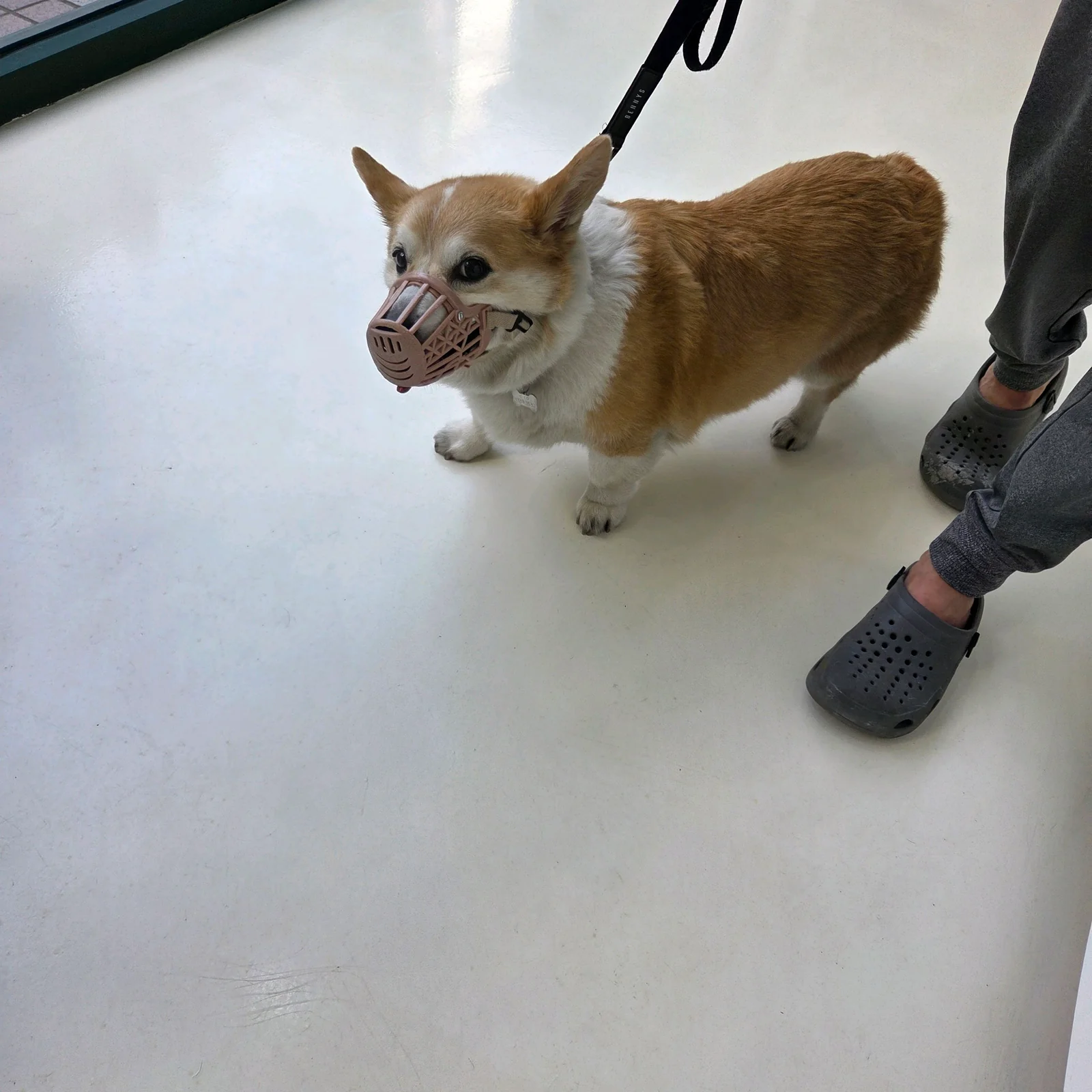 리뷰 사진 1